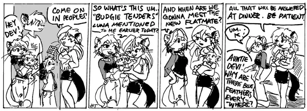 Image #12
