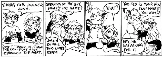 Image #13