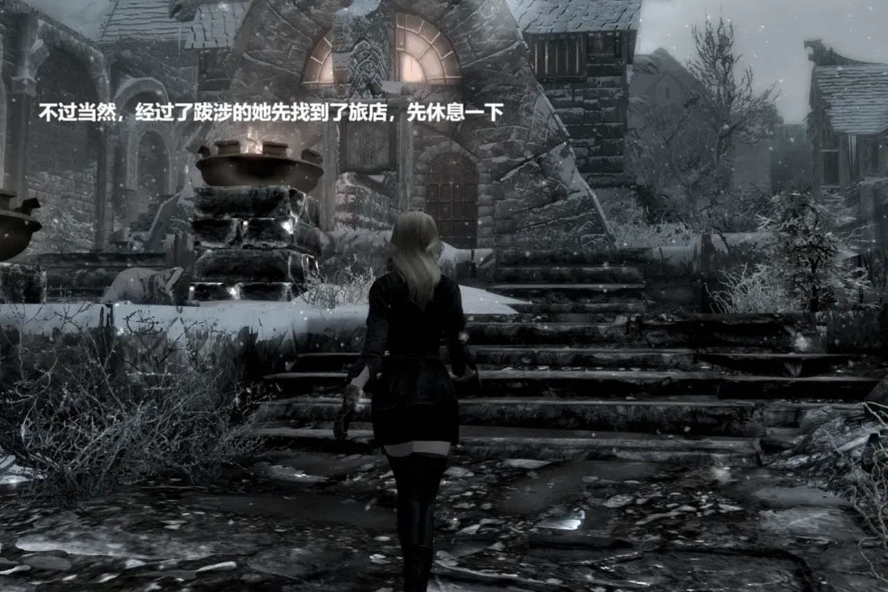 Image #12