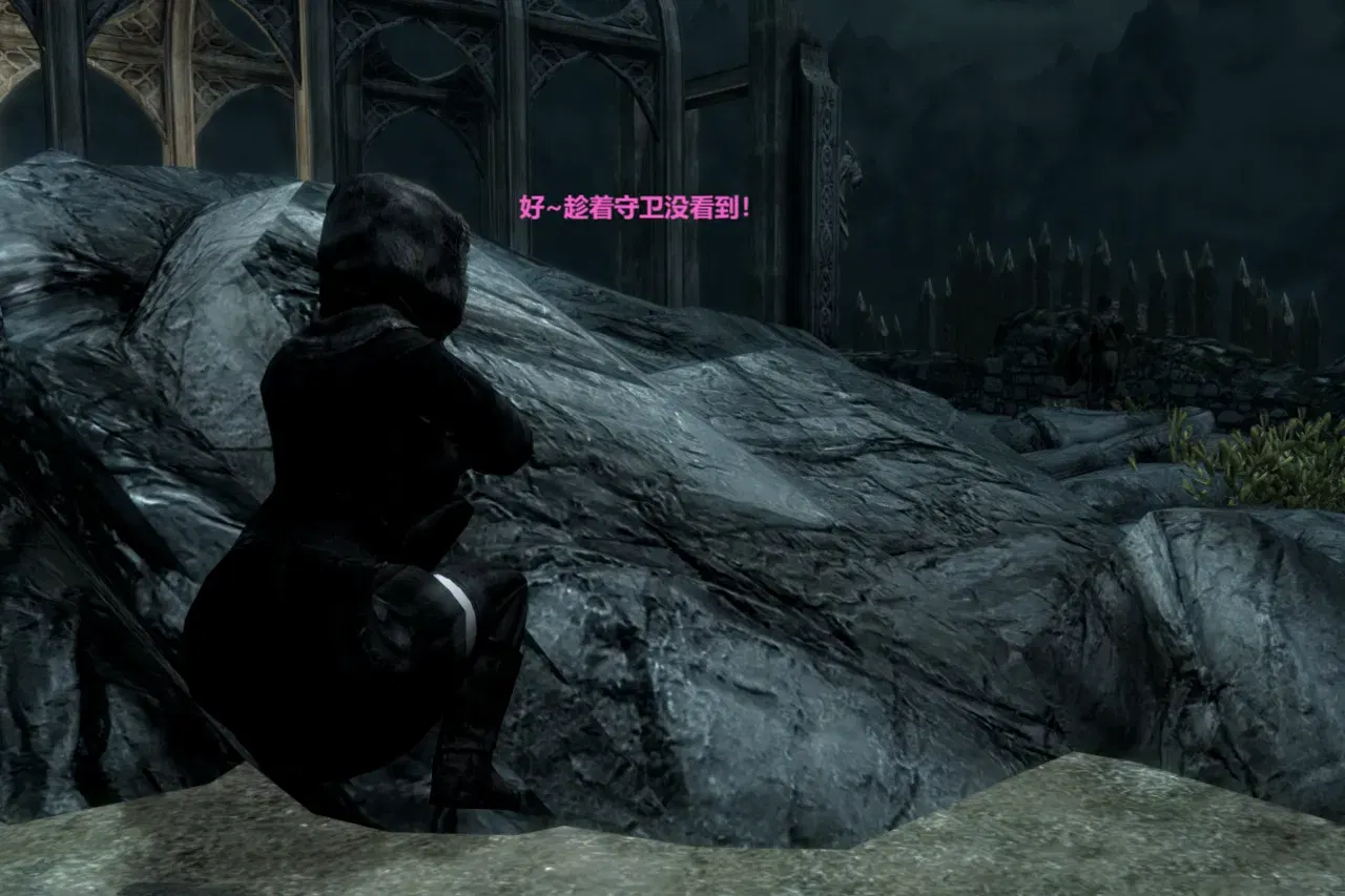 Image #6