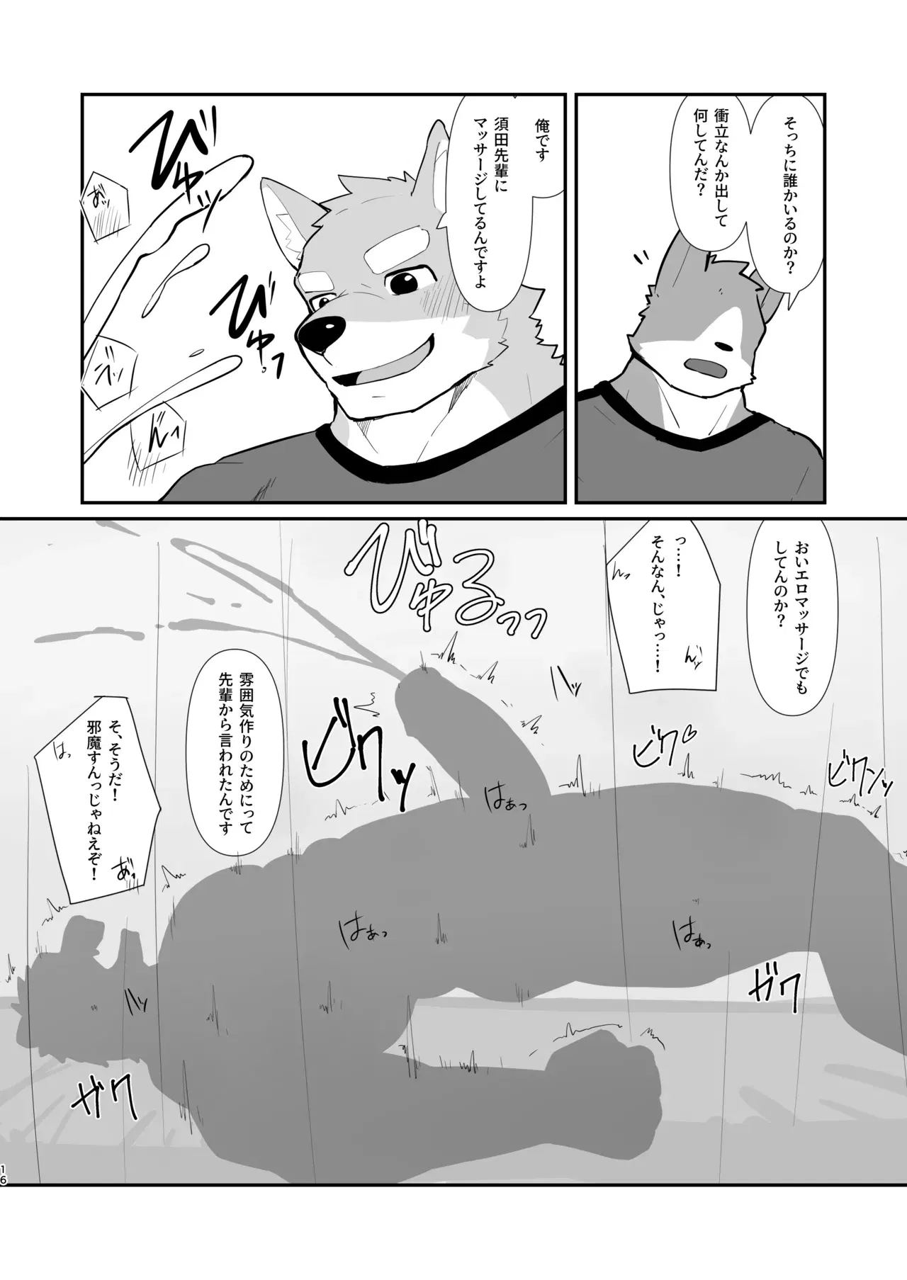 Image #15