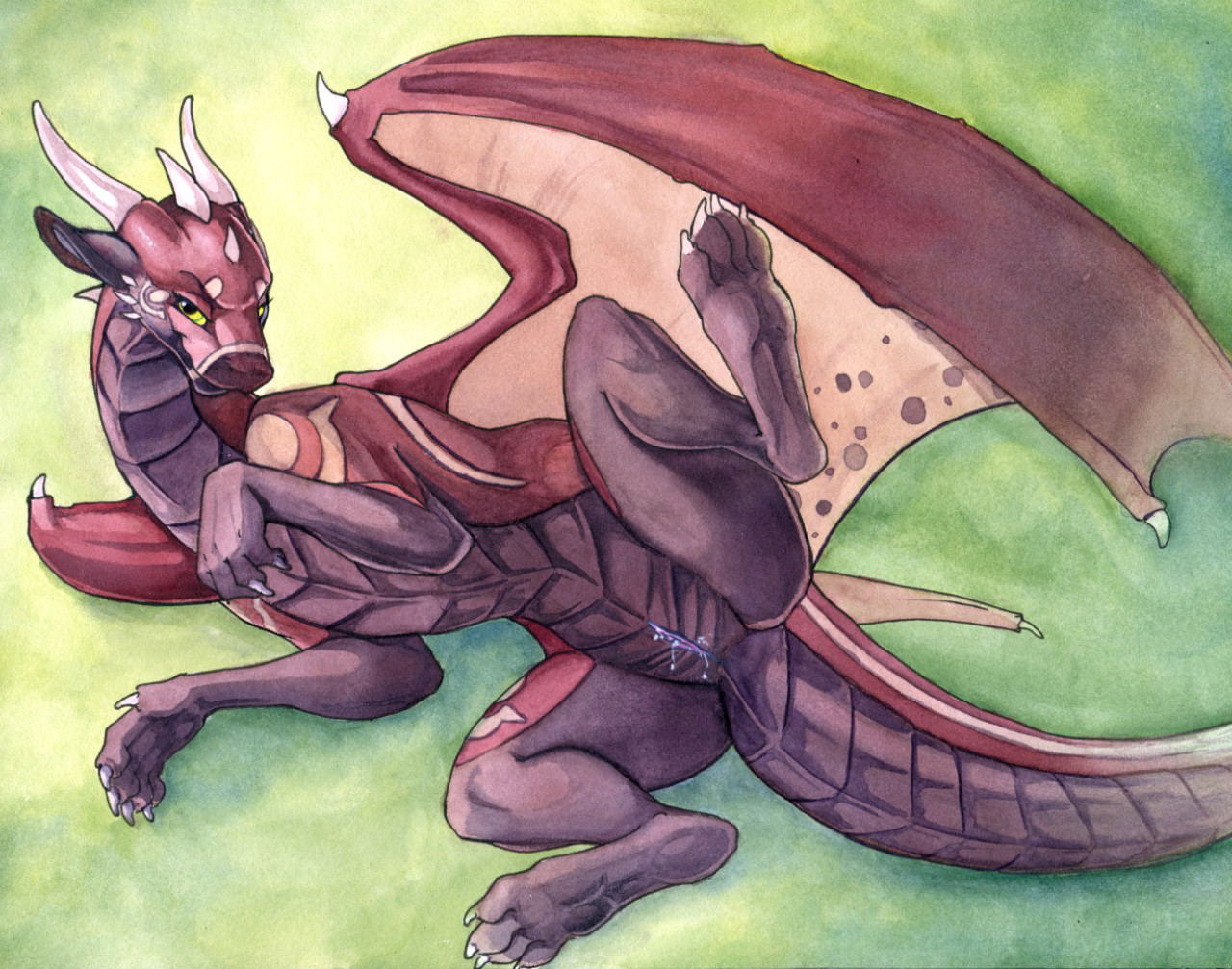 Image #146