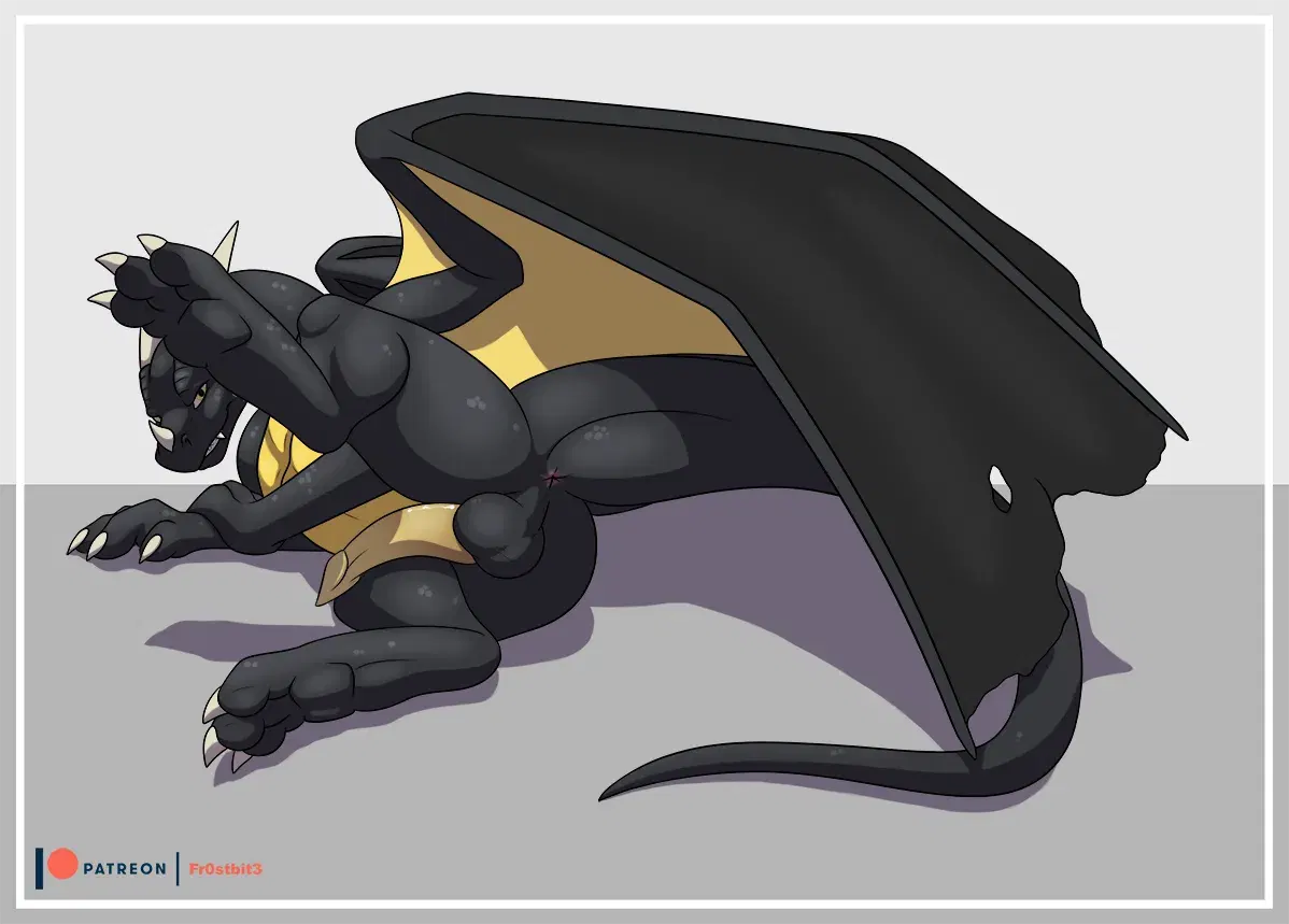 Image #323