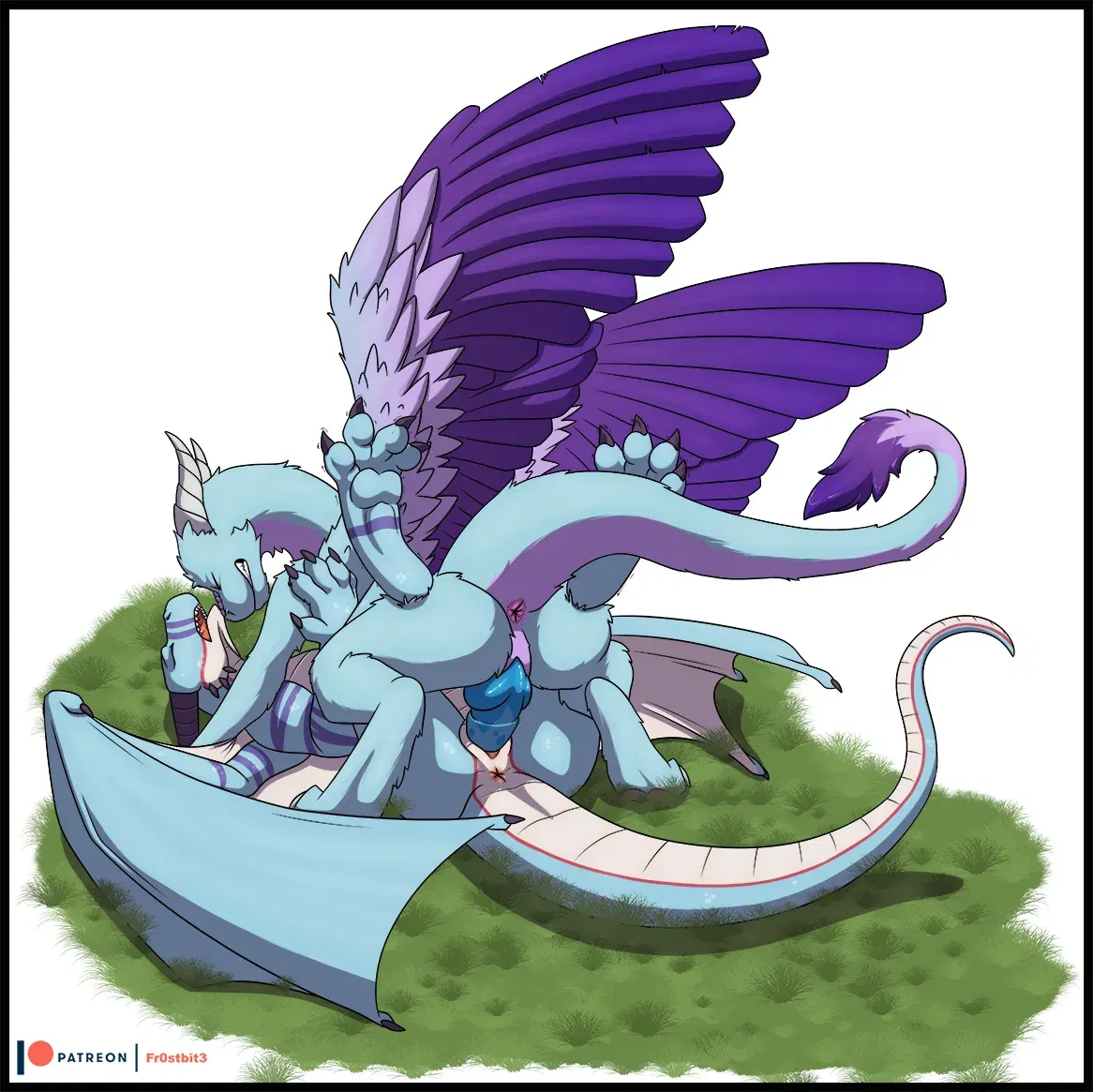 Image #411
