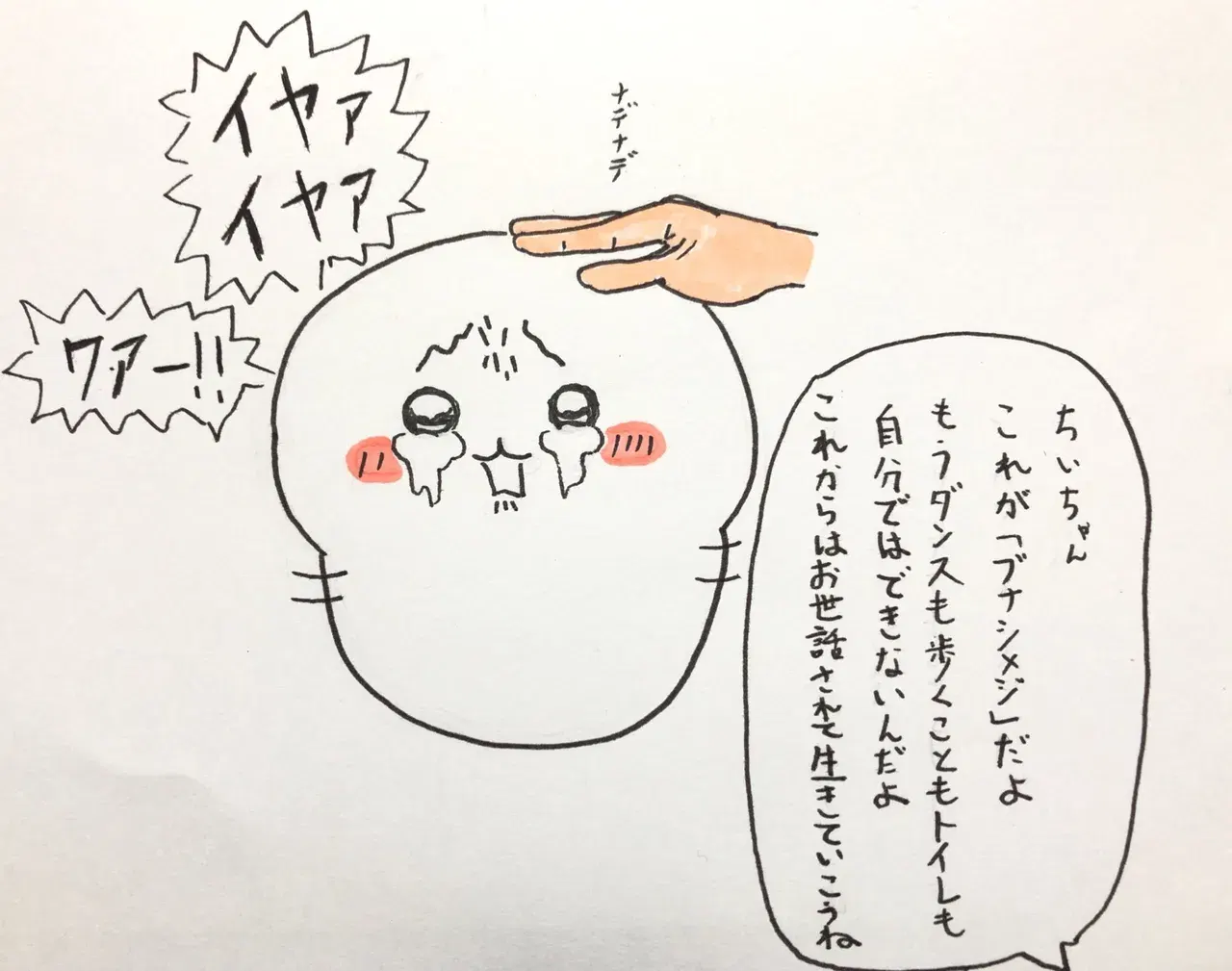 Image #47