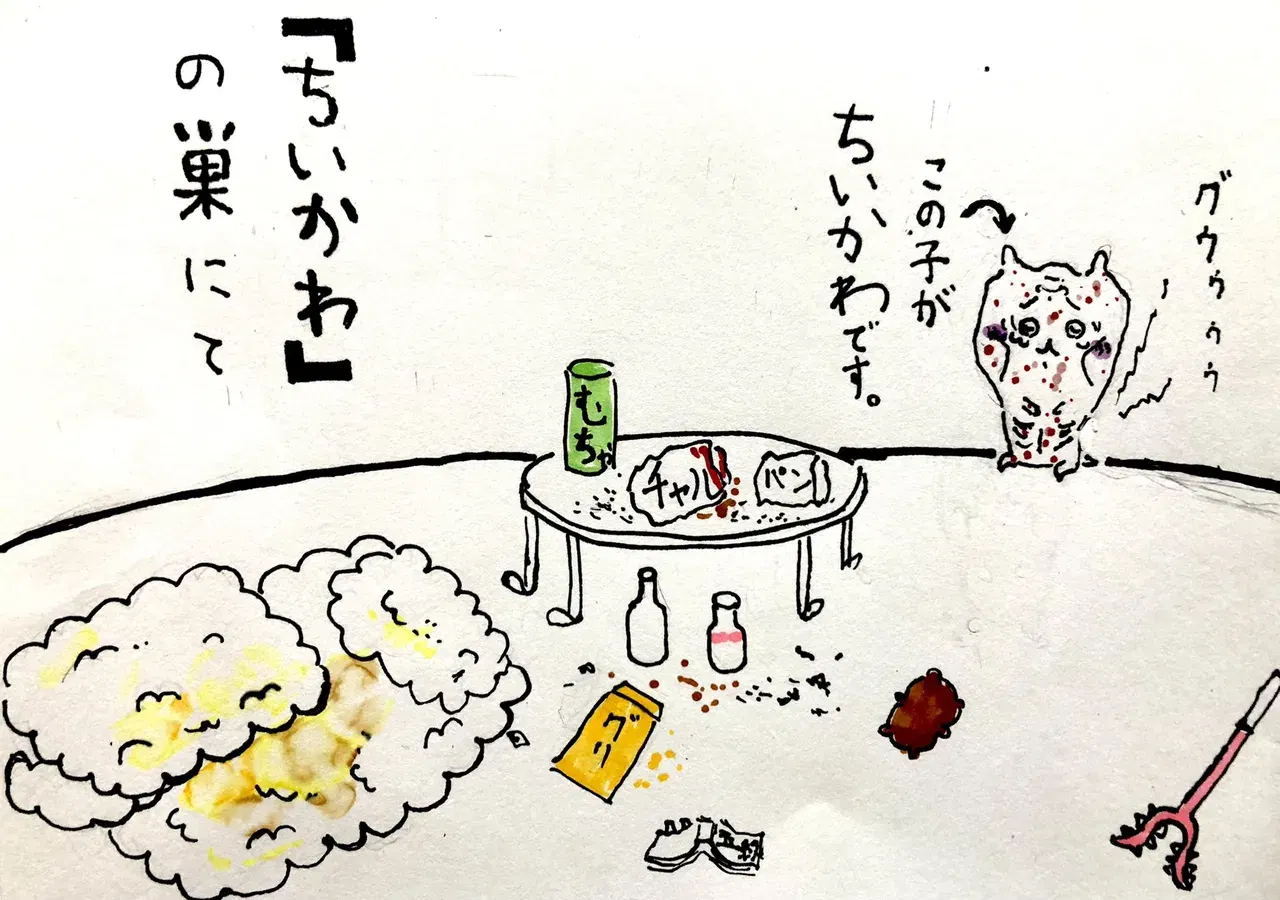 Image #5