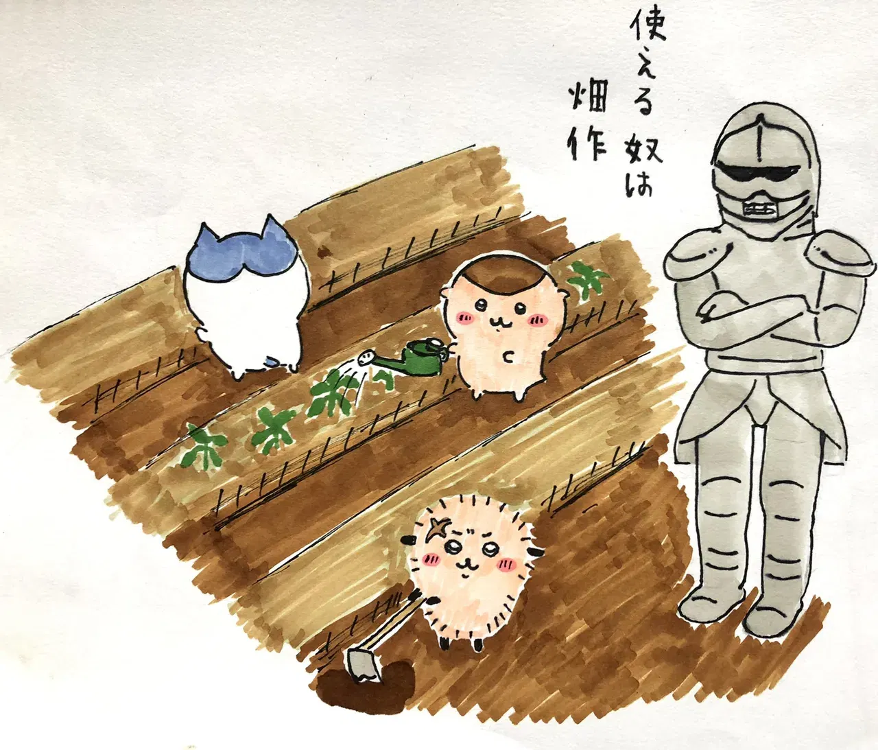 Image #6