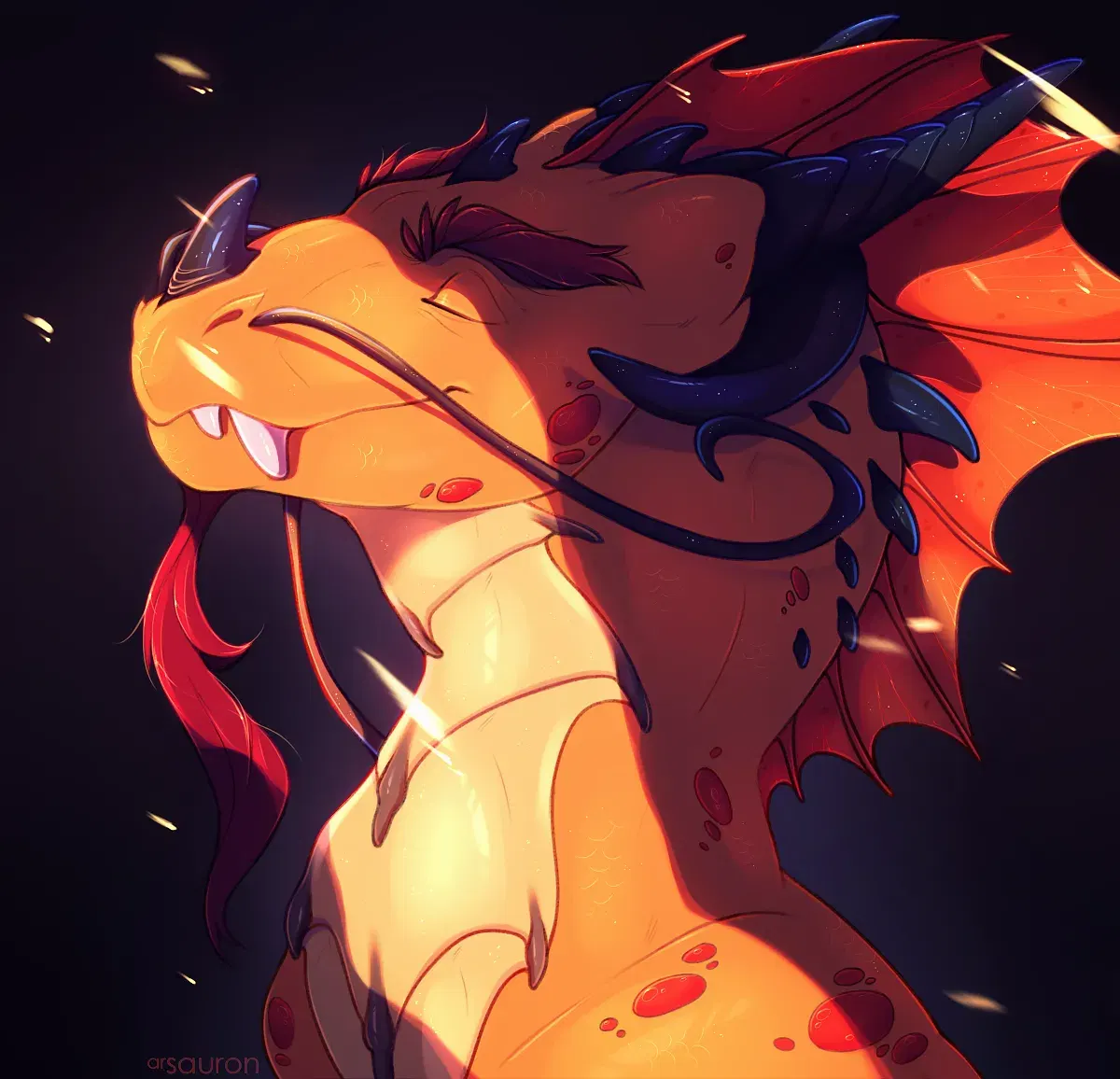 Image #12