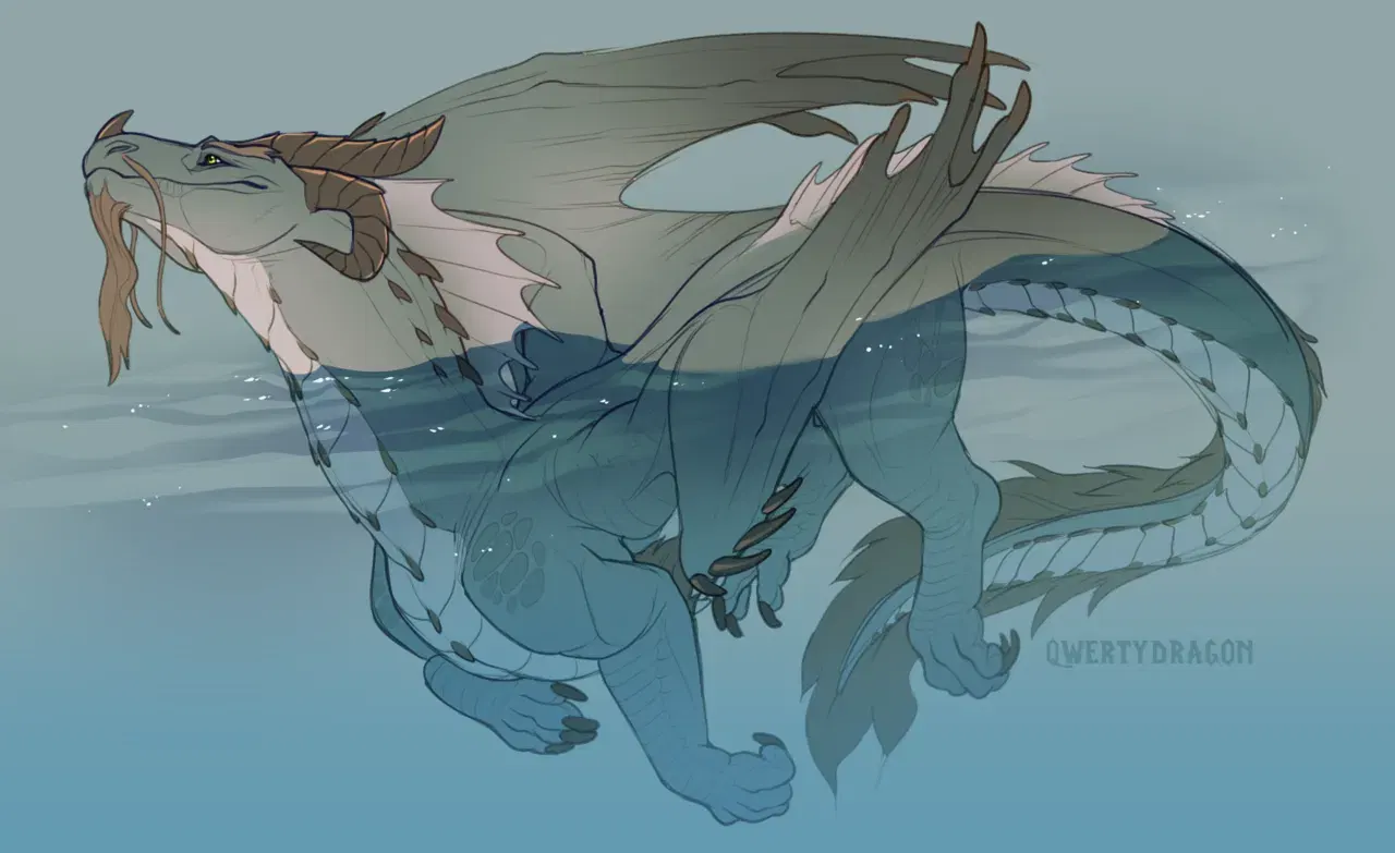 Image #25