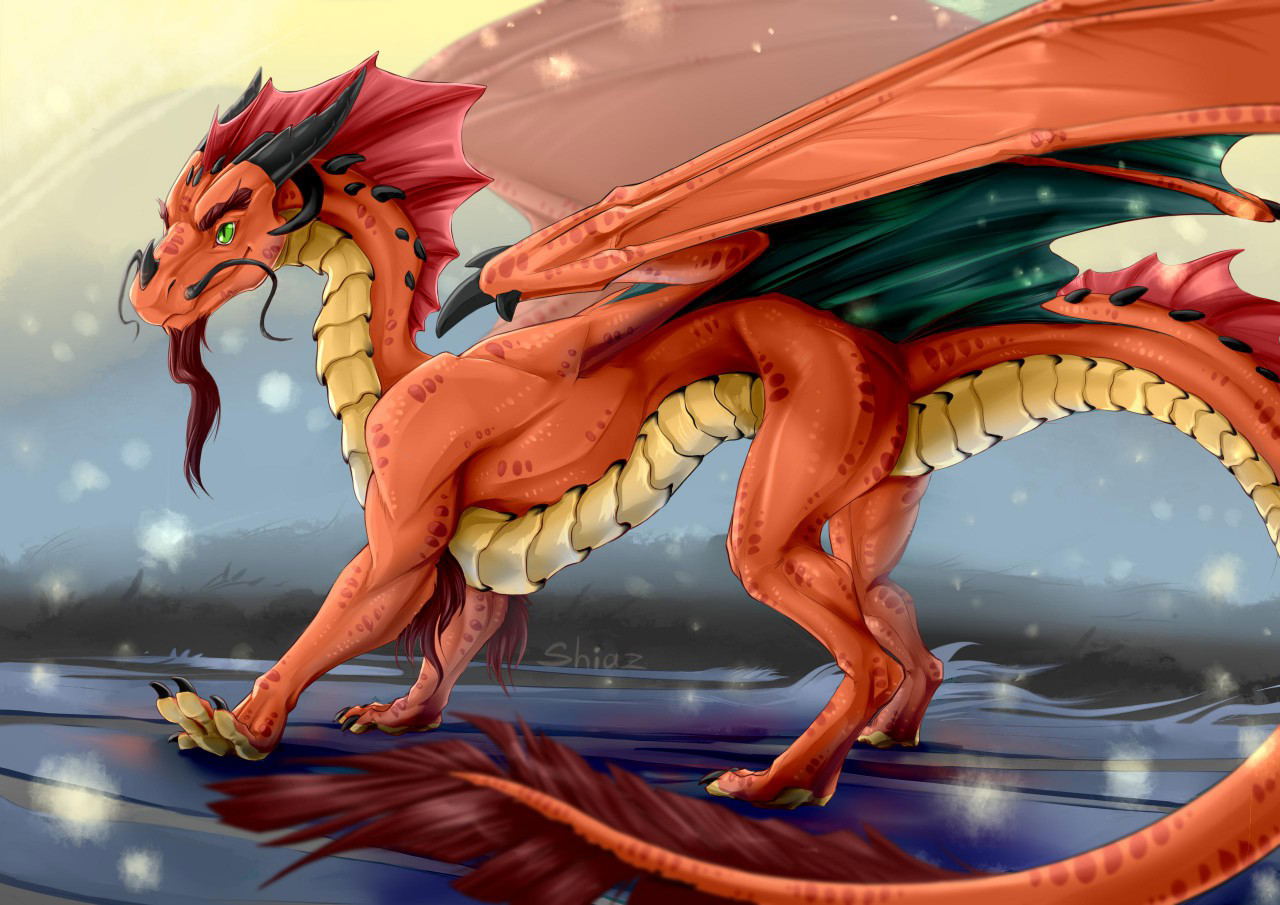 Image #35