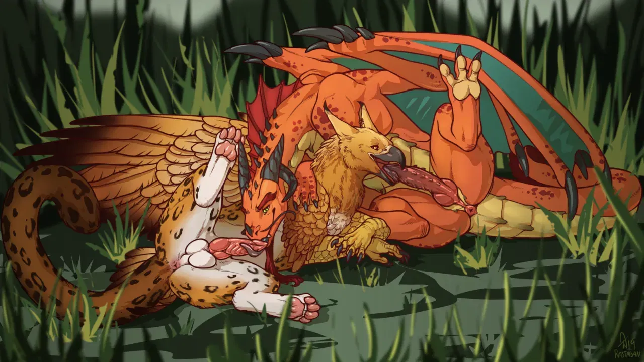 Image #38