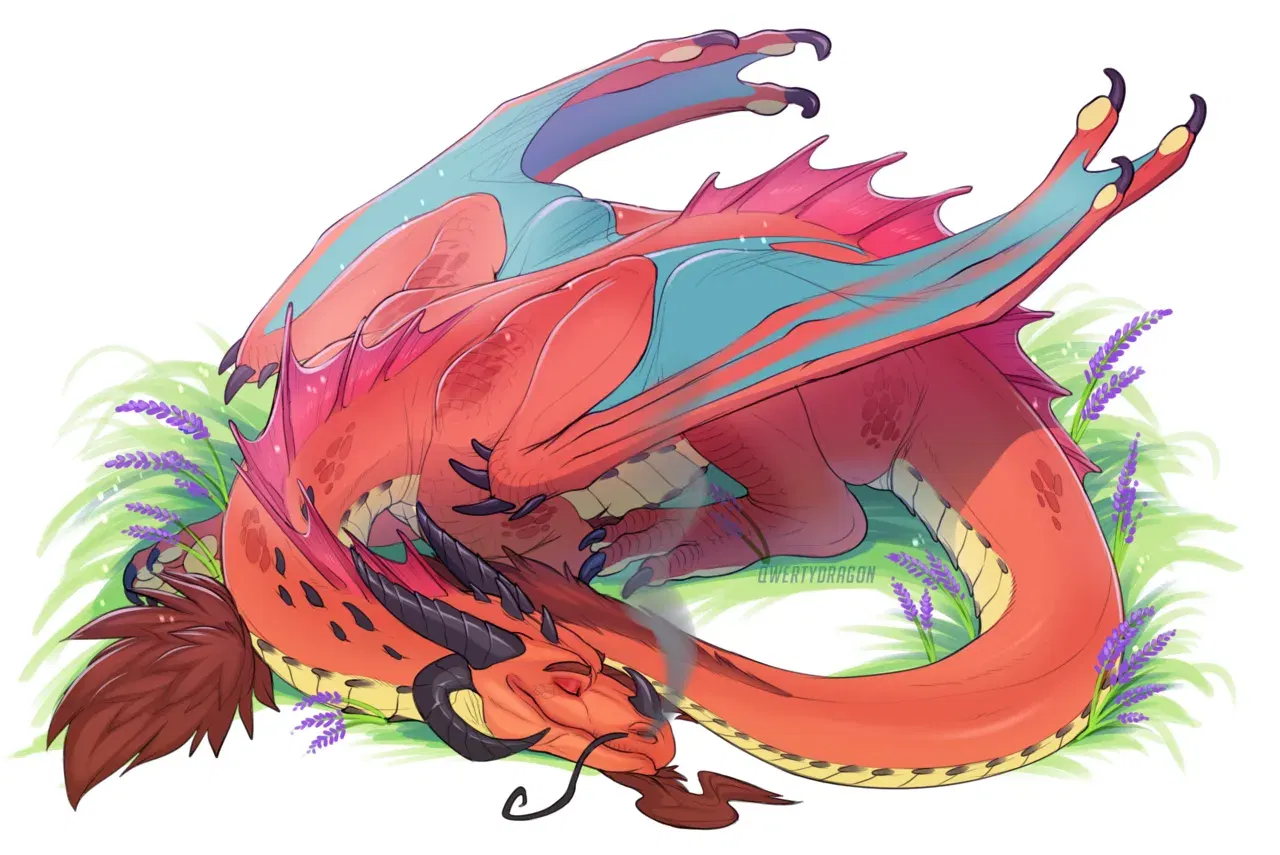 Image #41