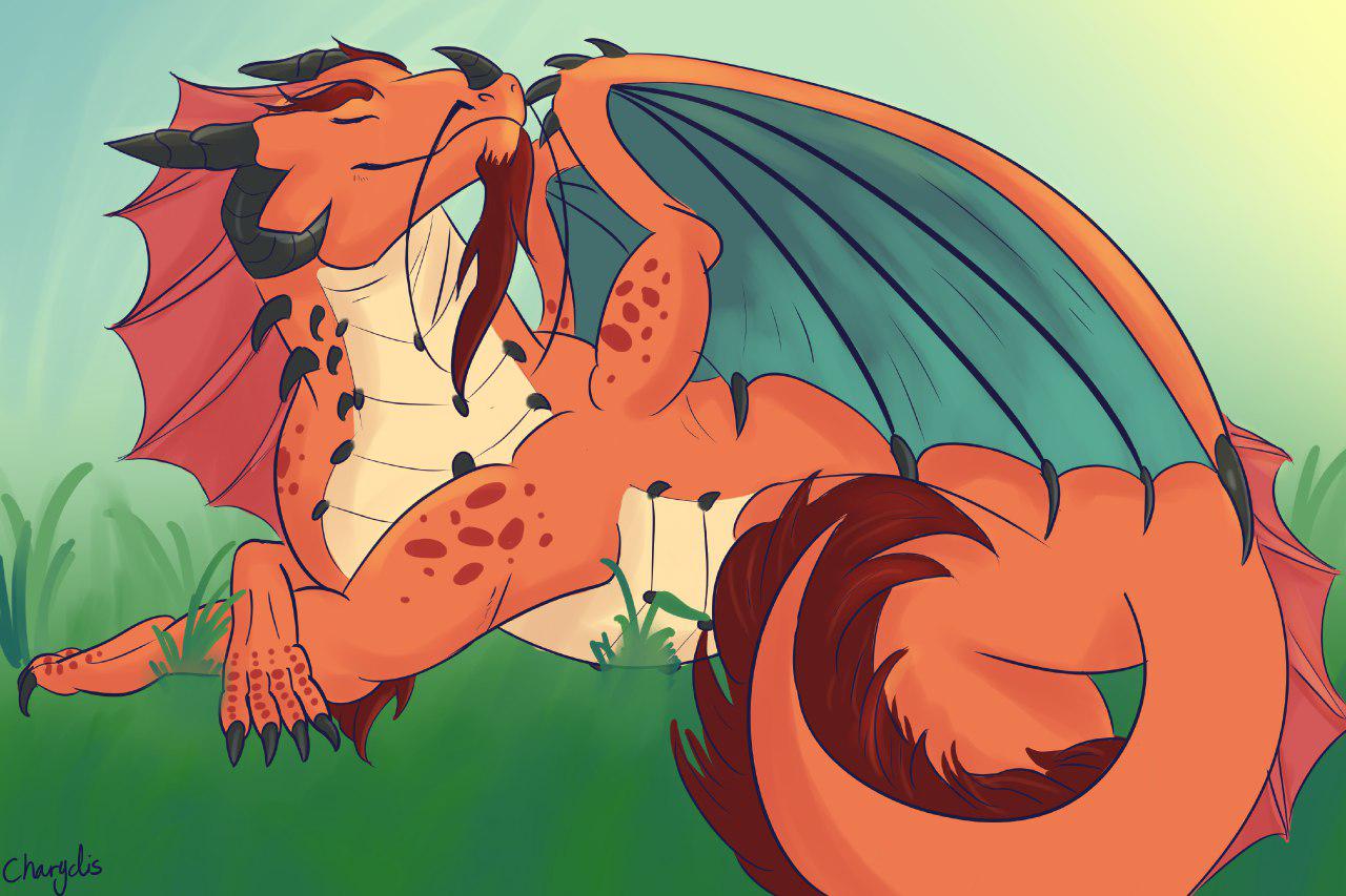 Image #43