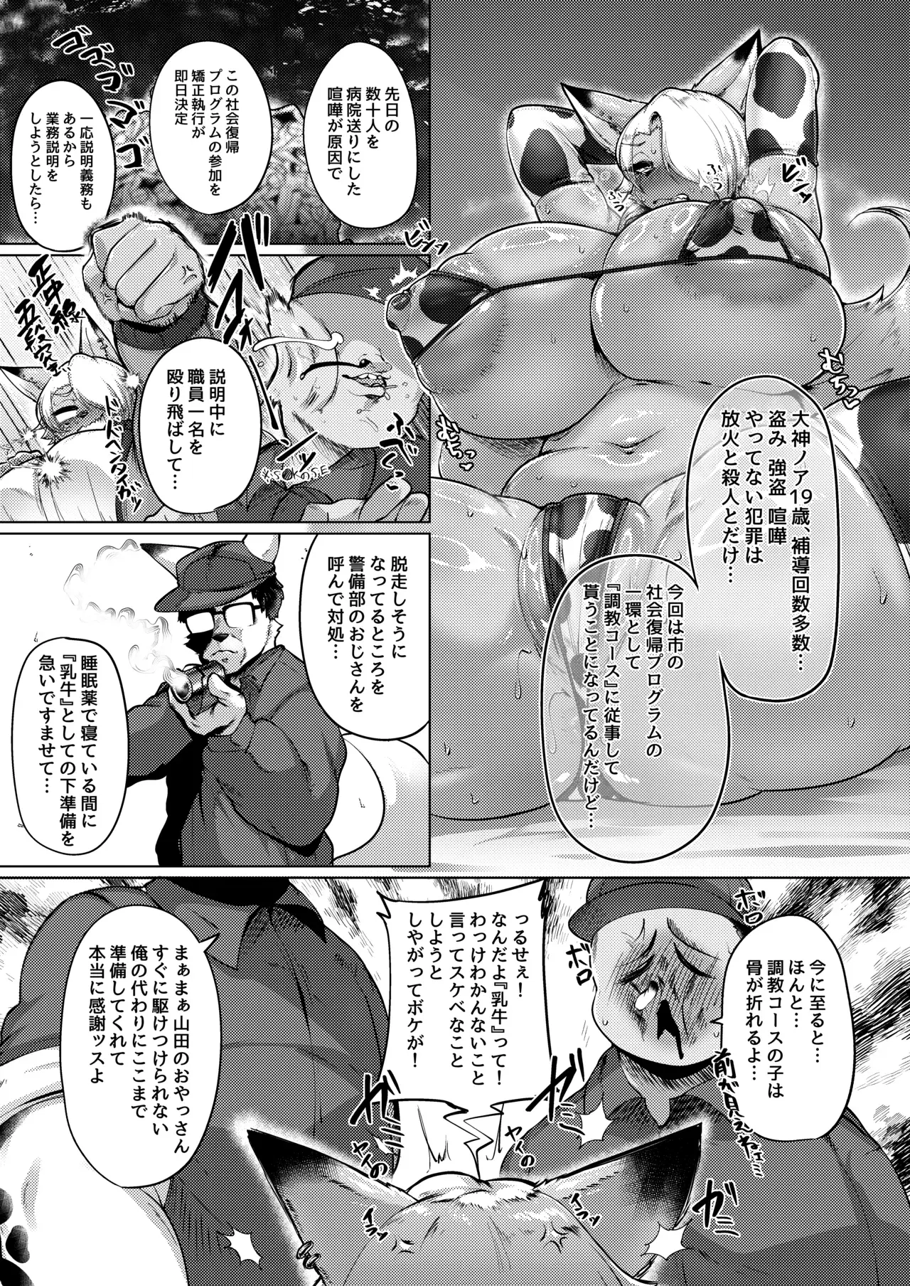 Image #5