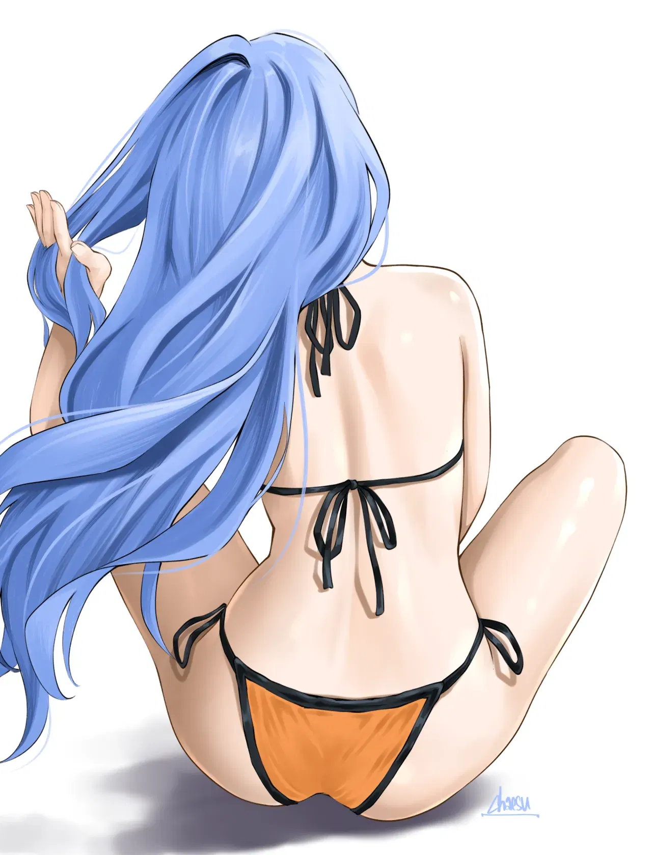 Image #528