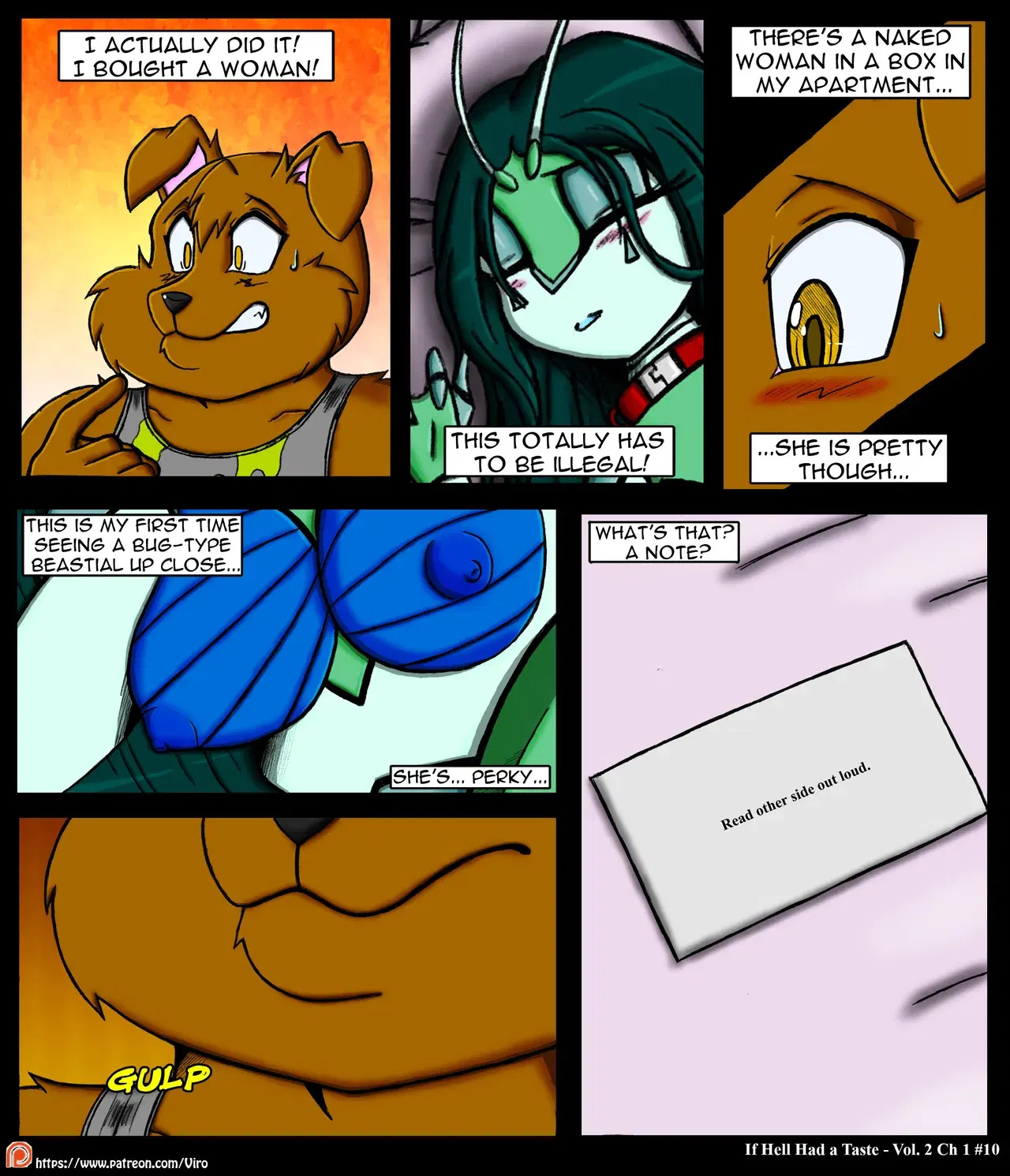 Image #11