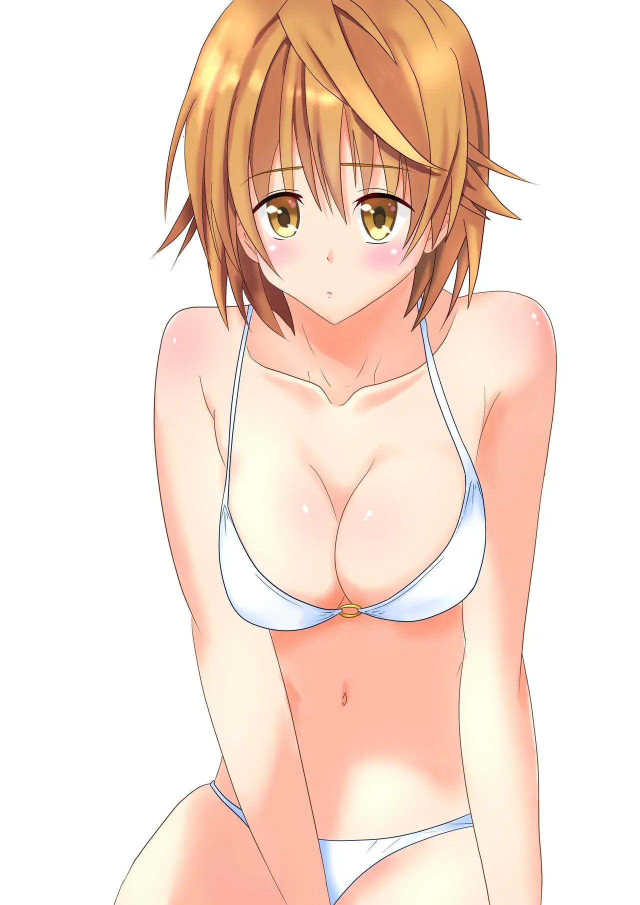 Image #247