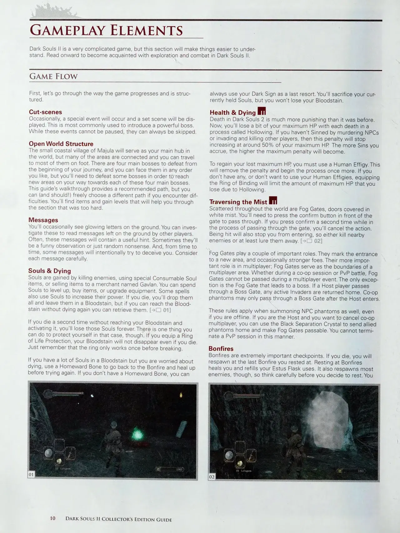 Image #12