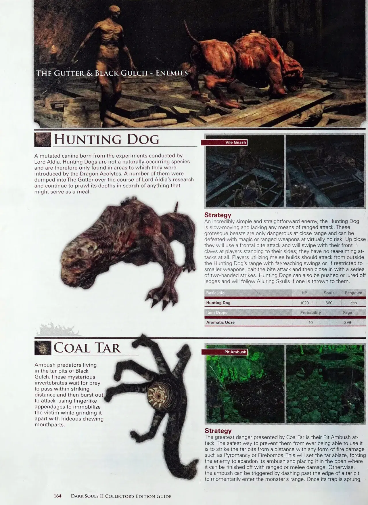 Image #166