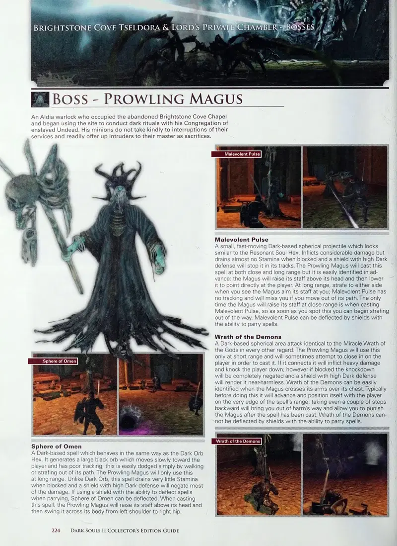 Image #226