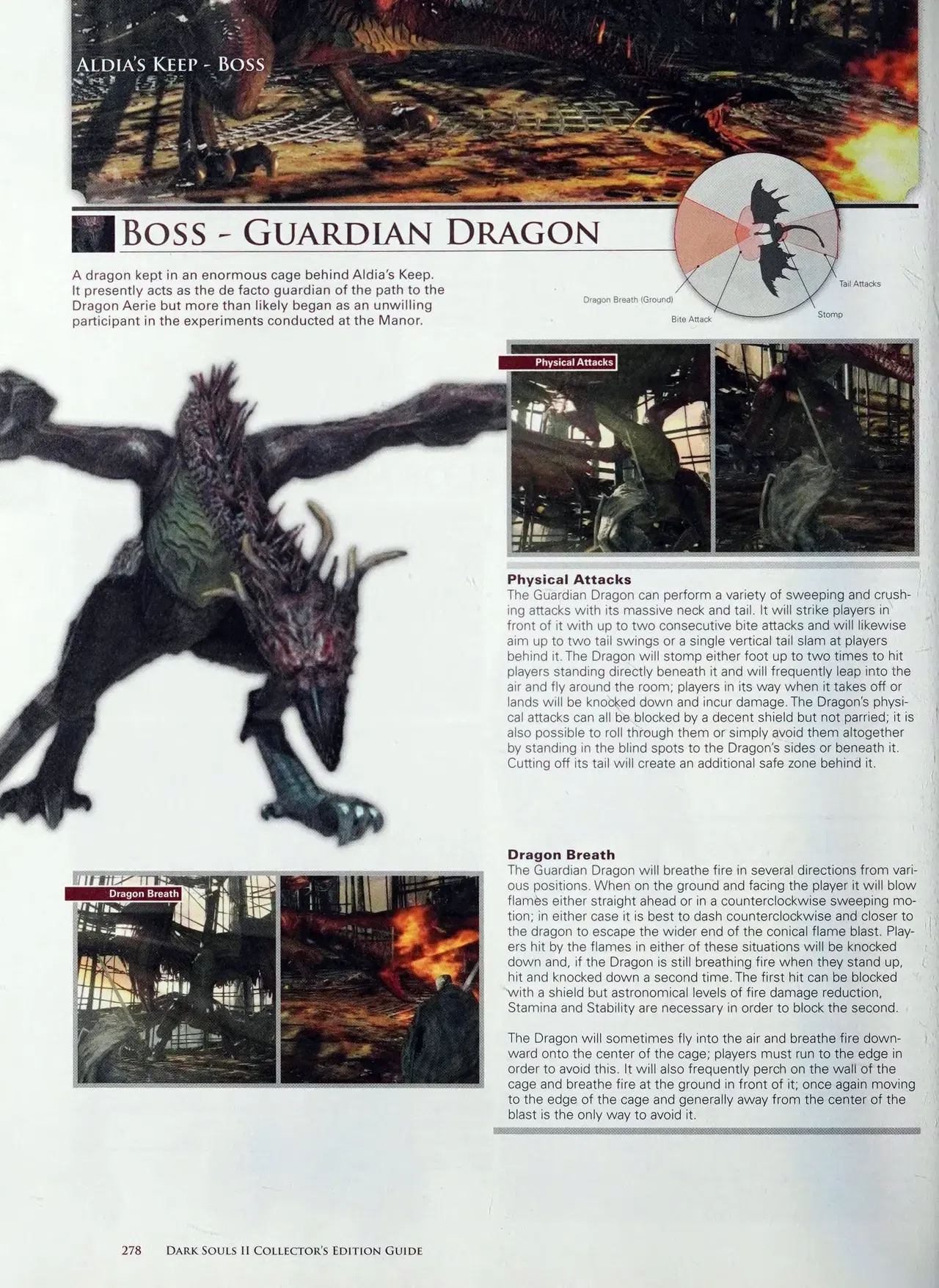 Image #279