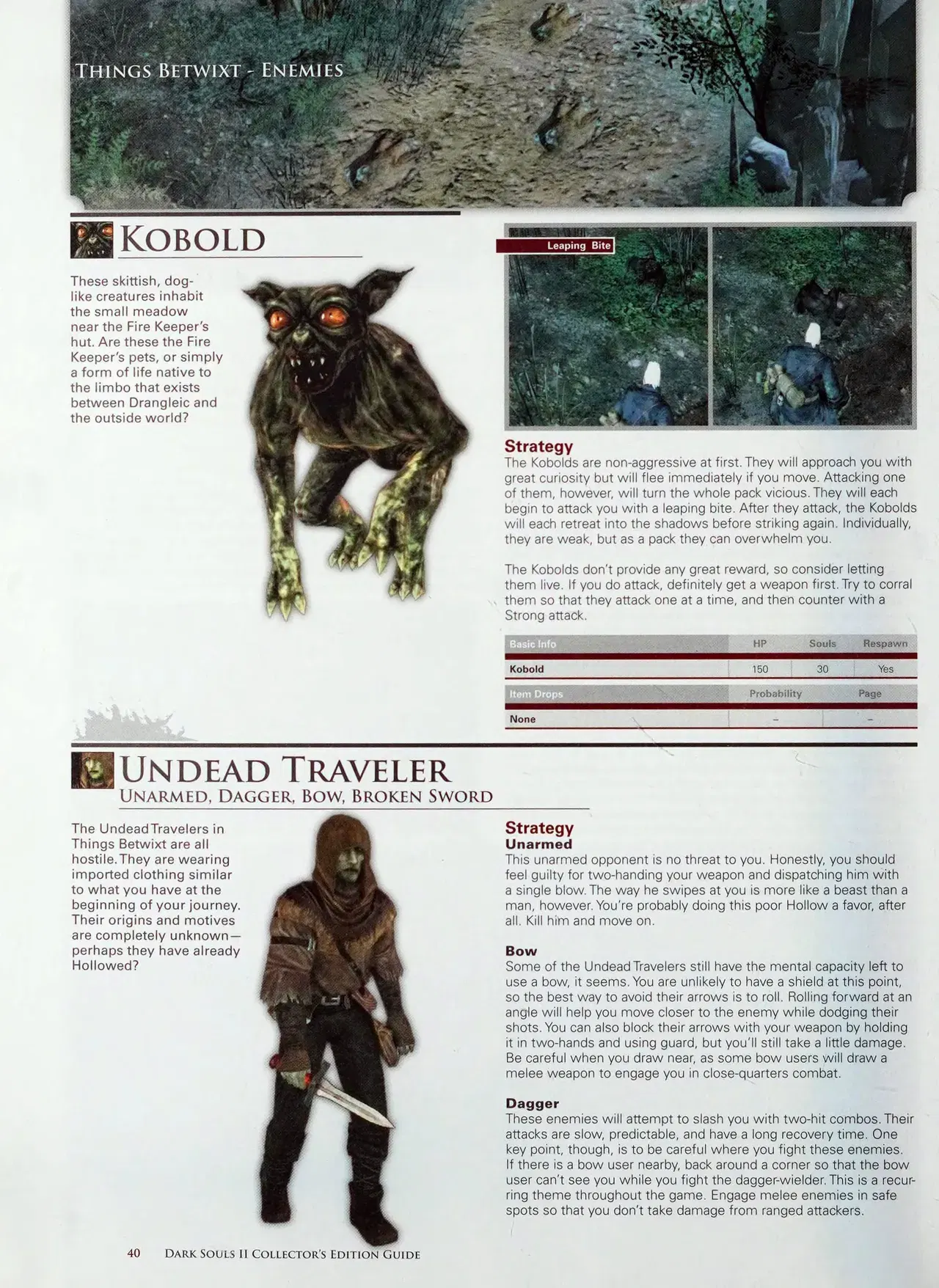 Image #42