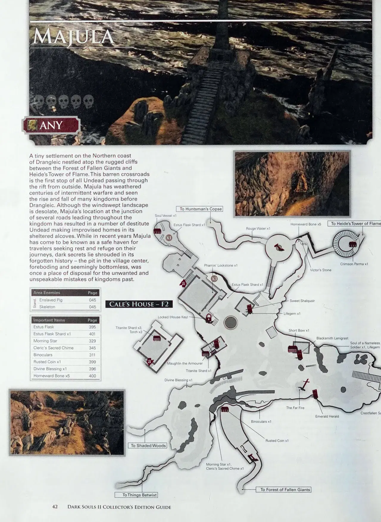 Image #44