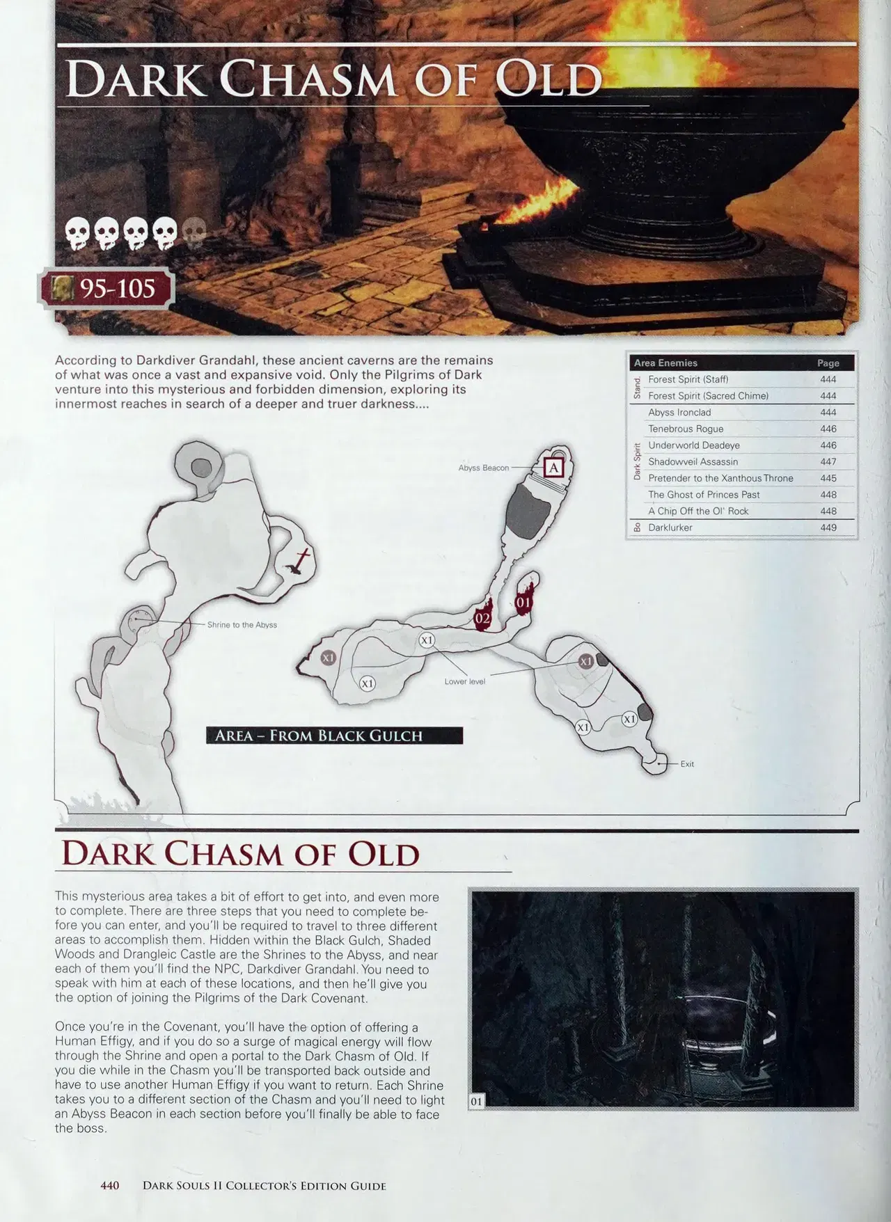 Image #441