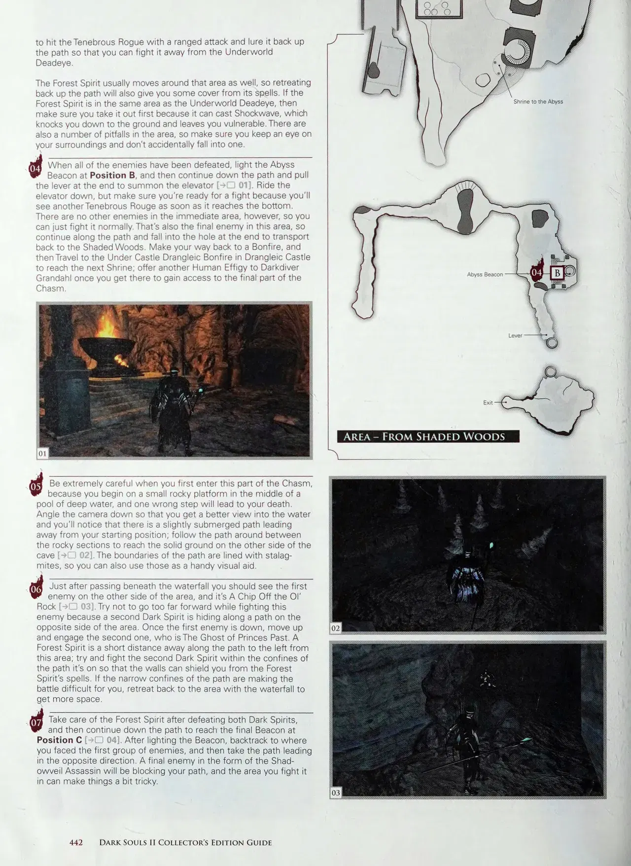 Image #443