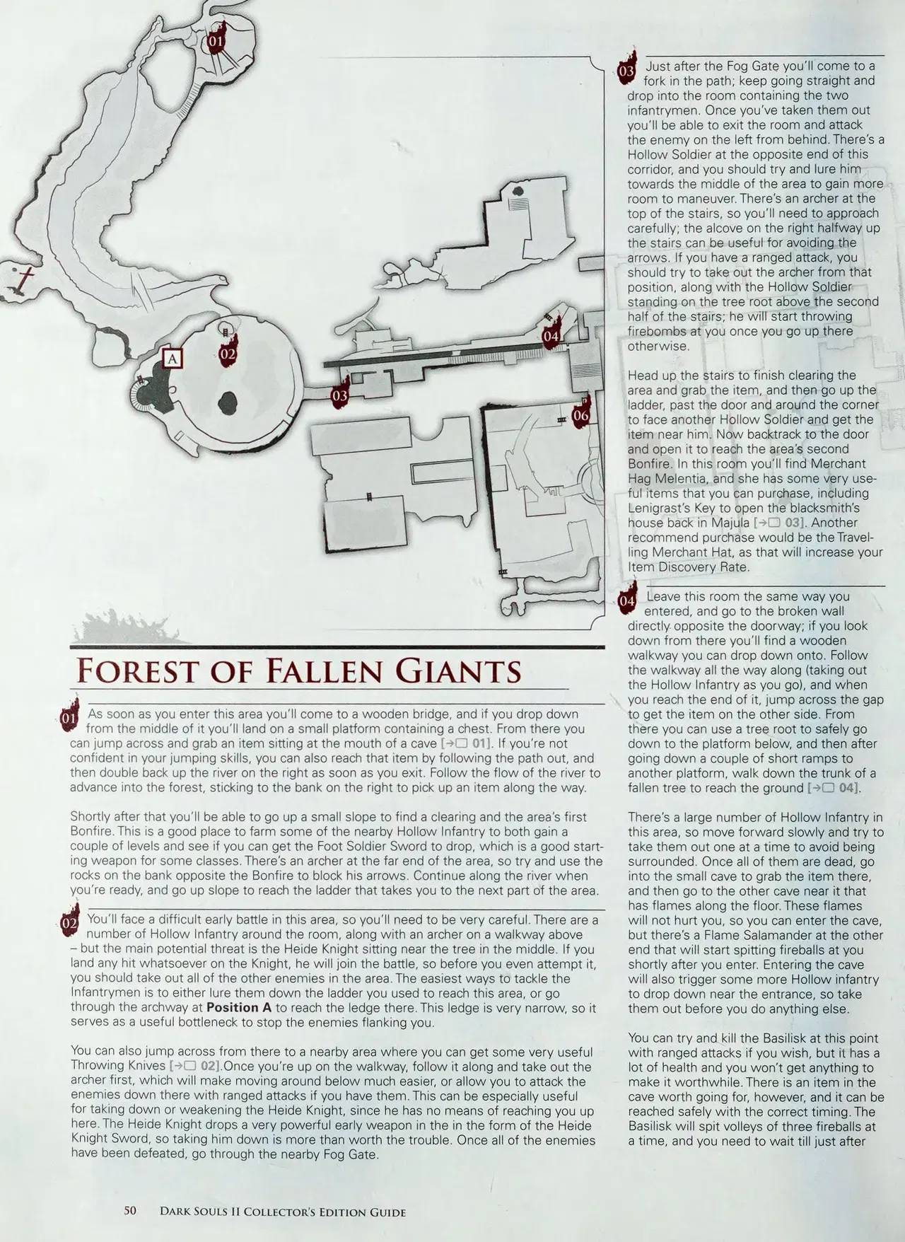 Image #52