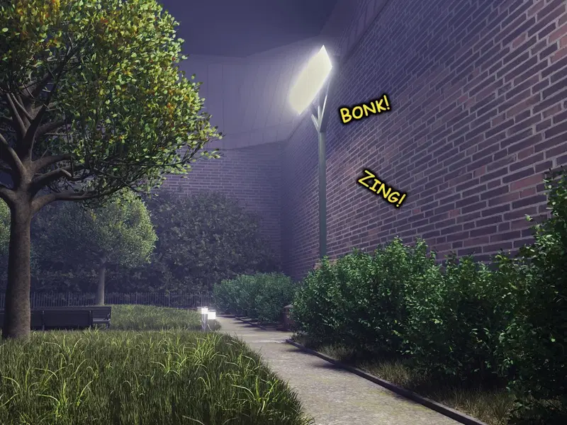 Image #3