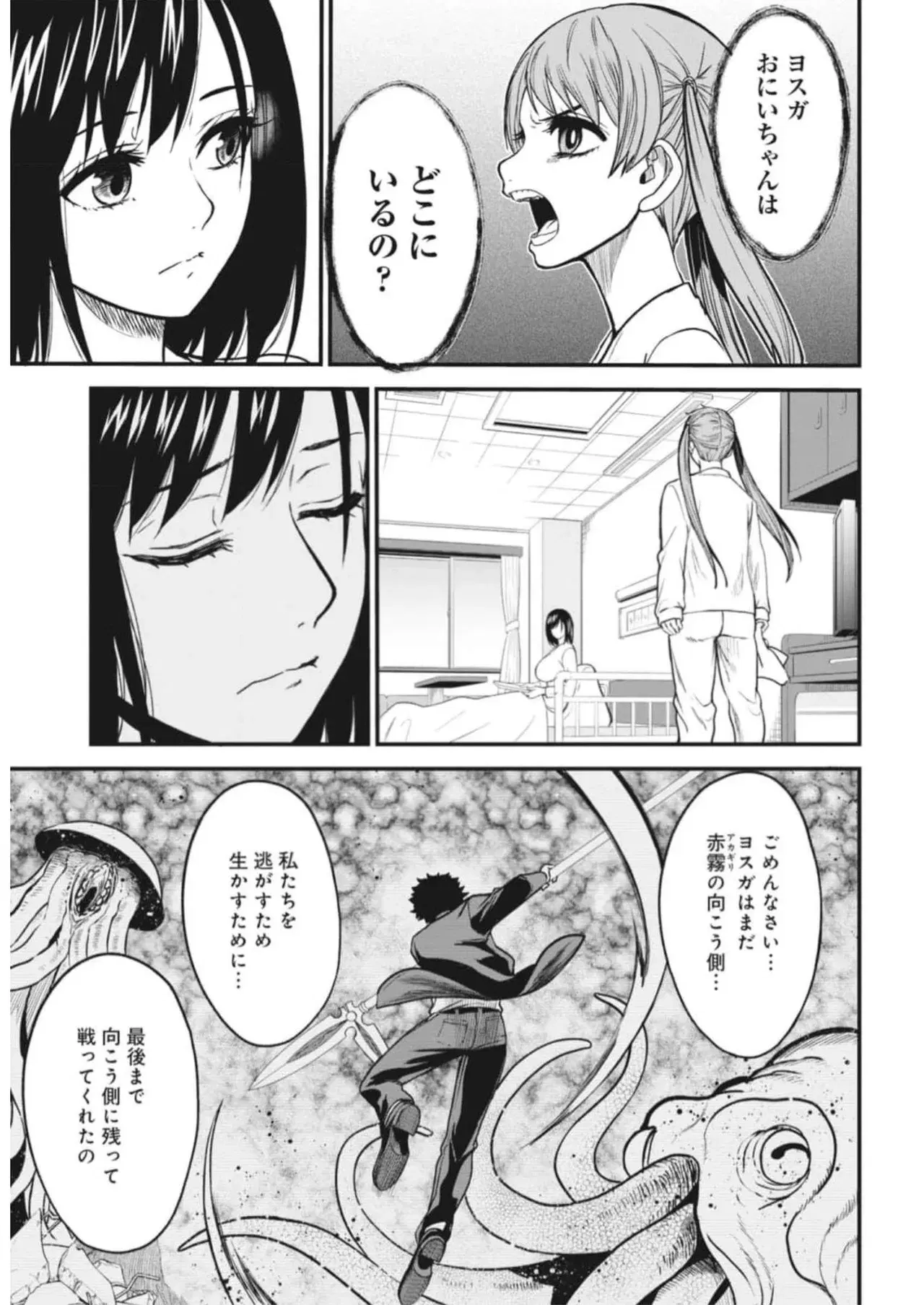 Image #12