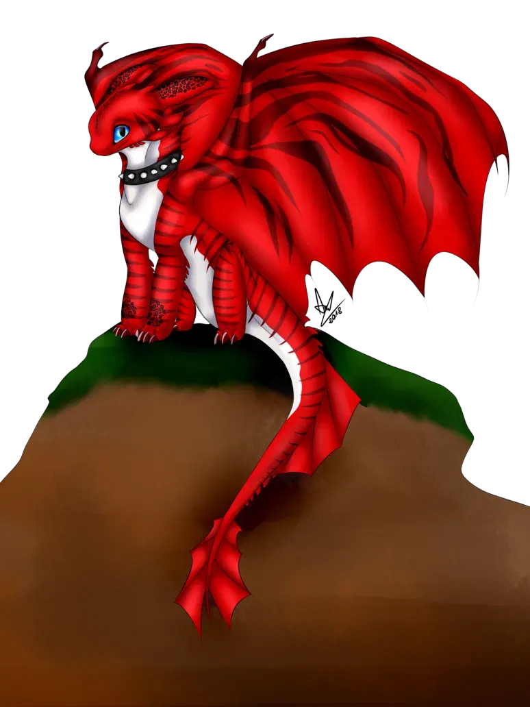 Image #22