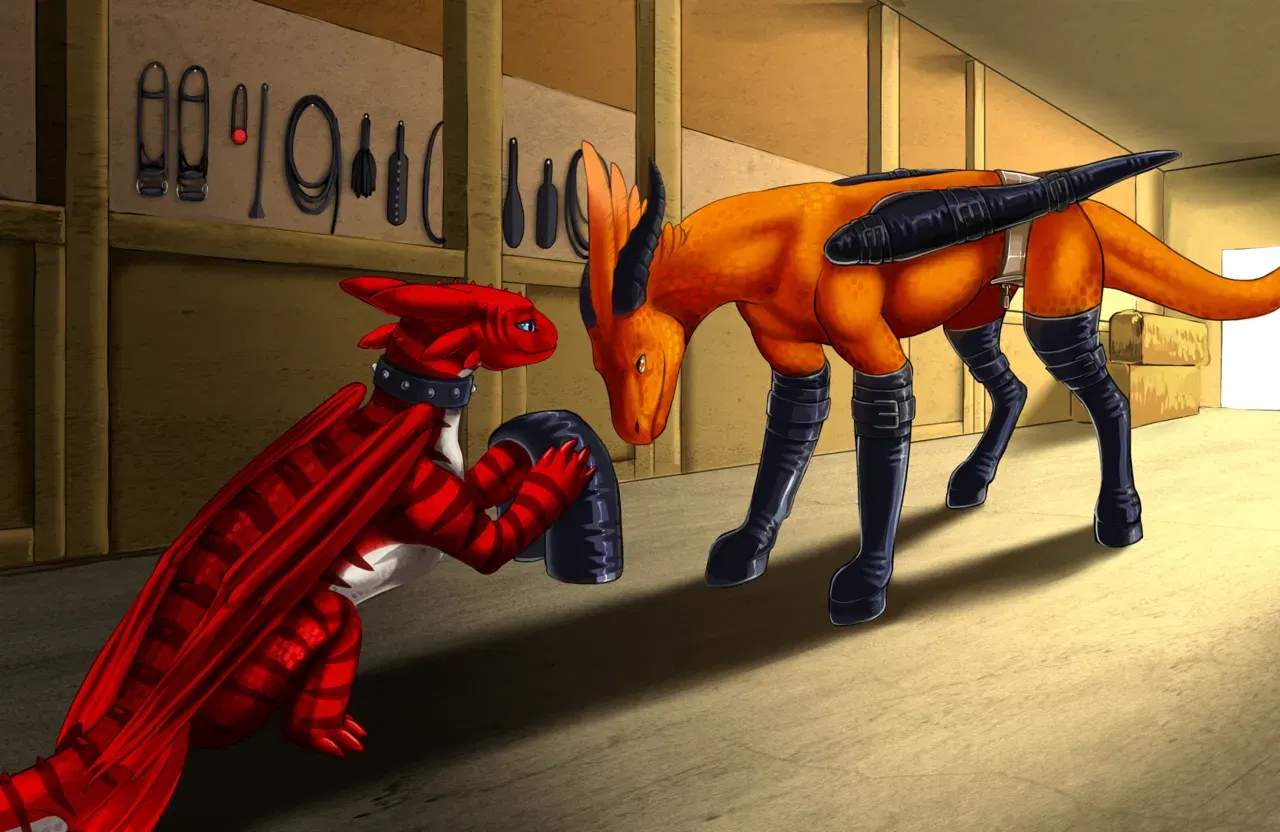 Image #24
