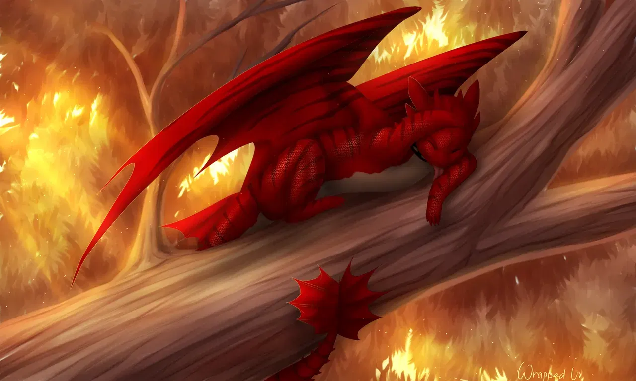 Image #37