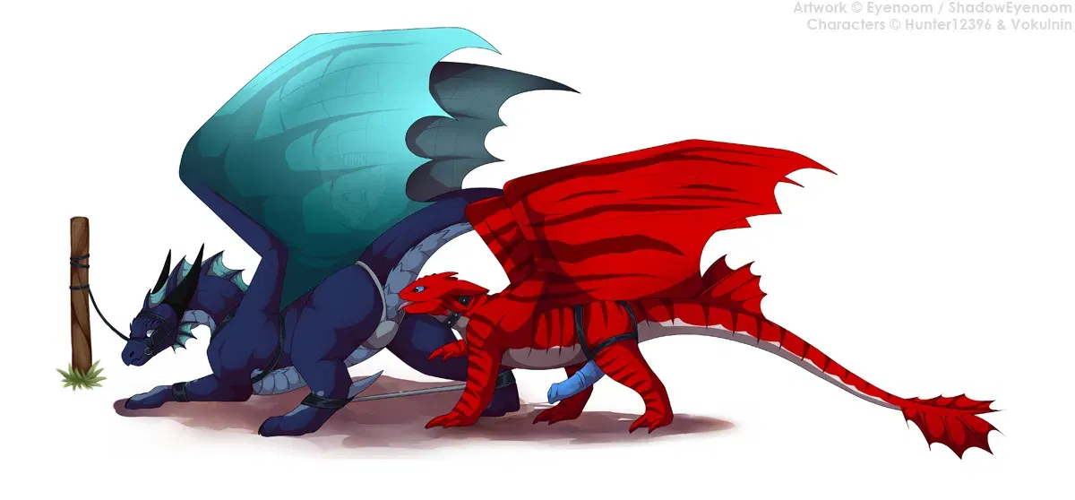 Image #40