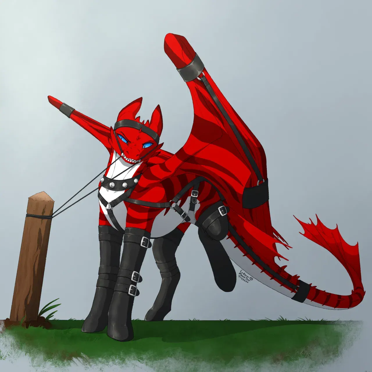 Image #64