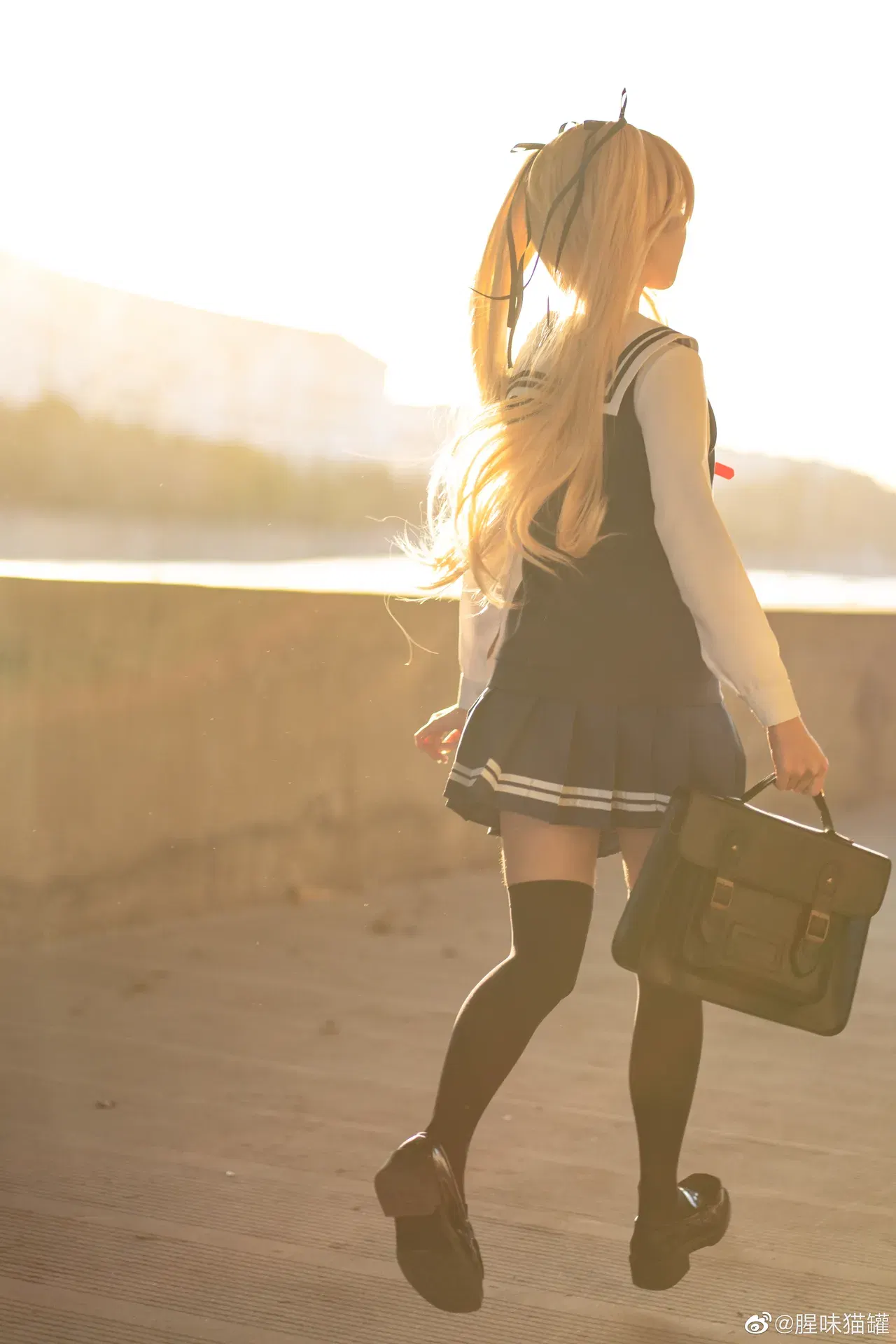 Image #12