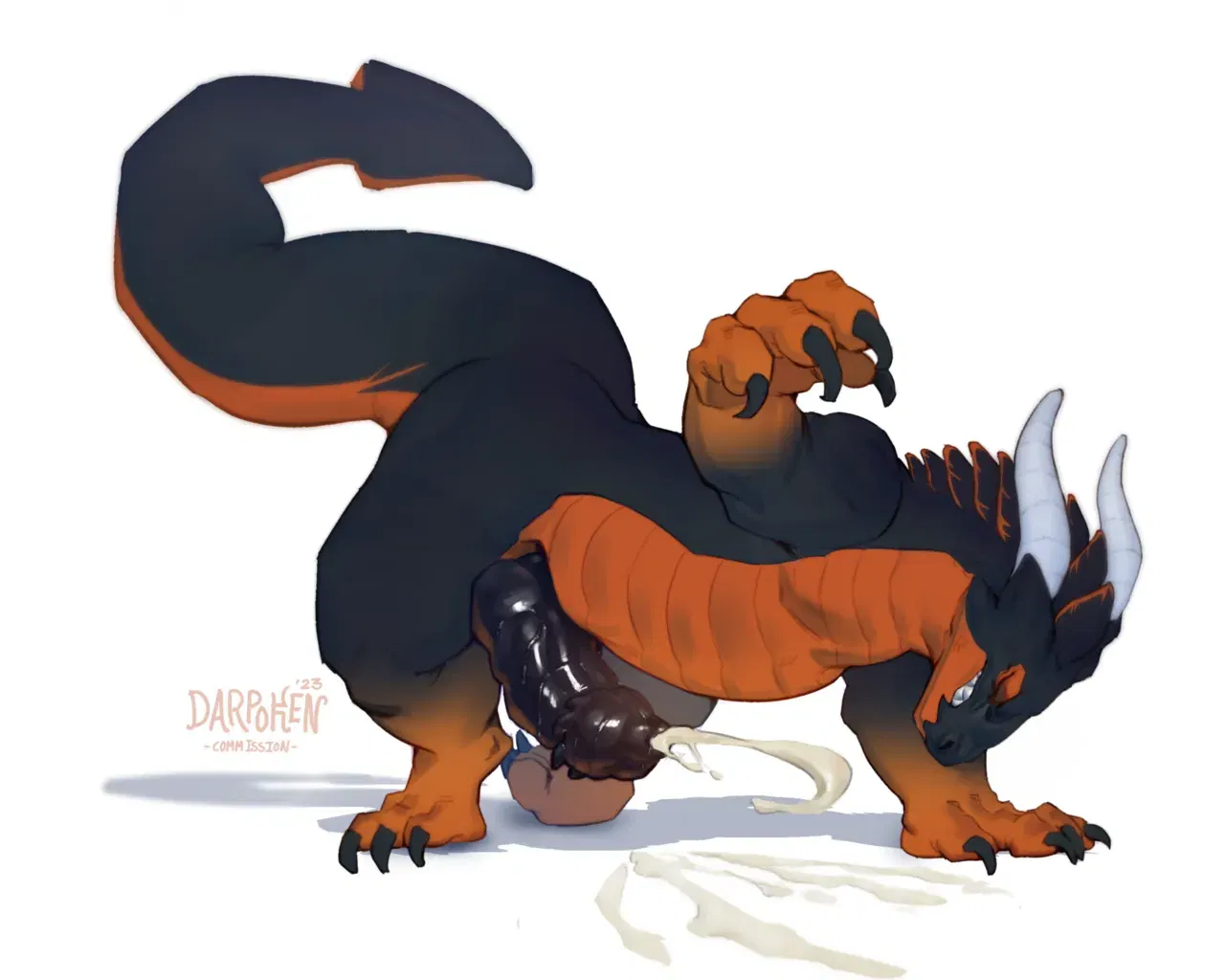 Image #12