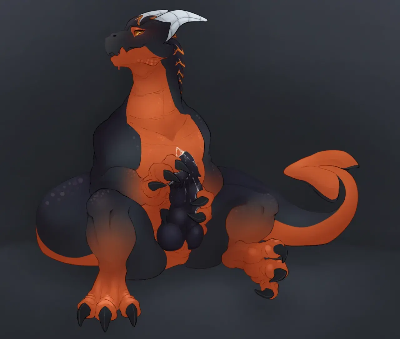 Image #27