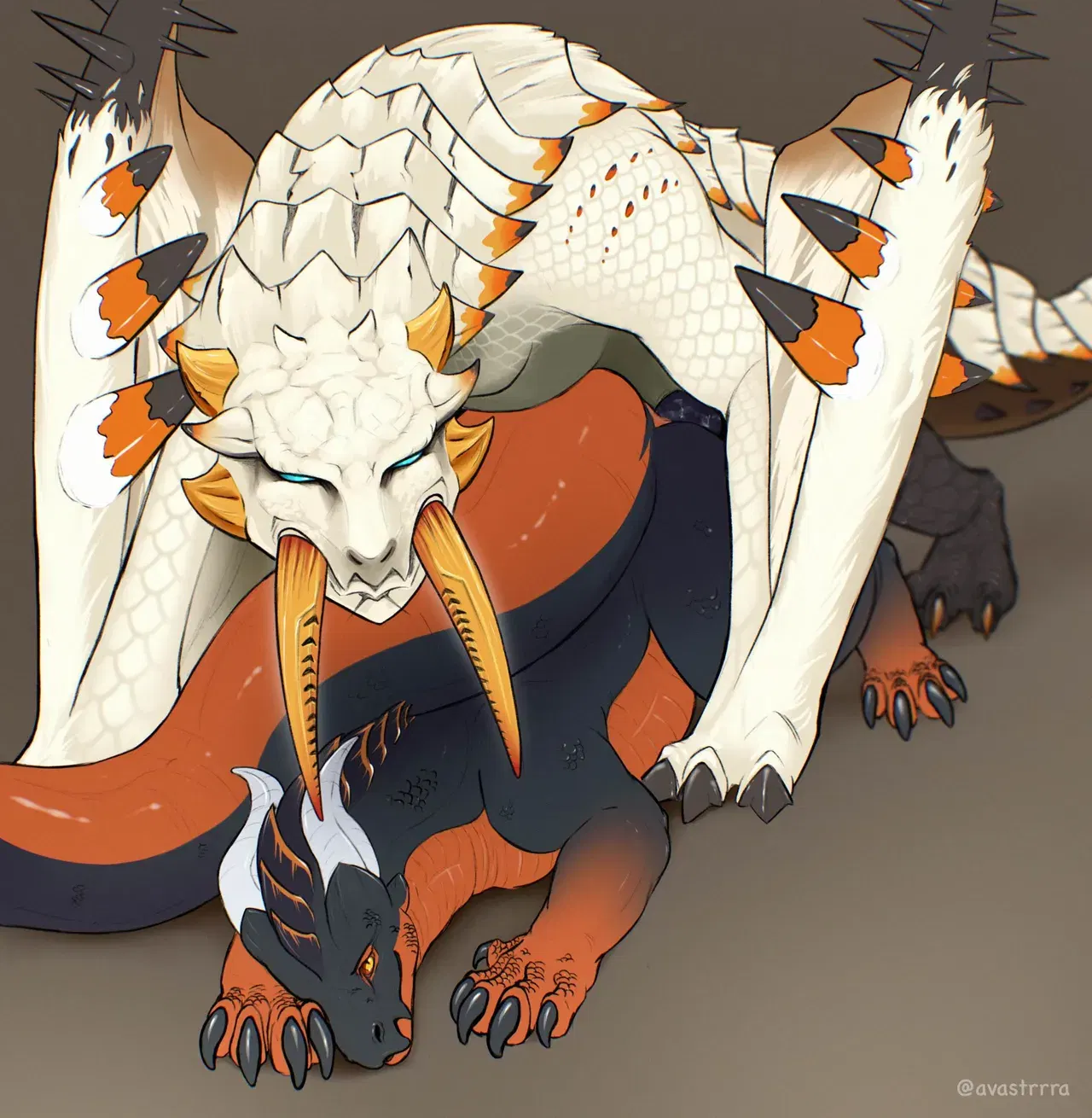 Image #53