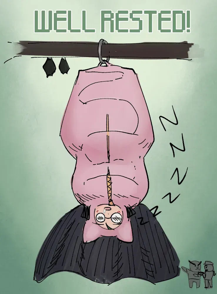 Image #13