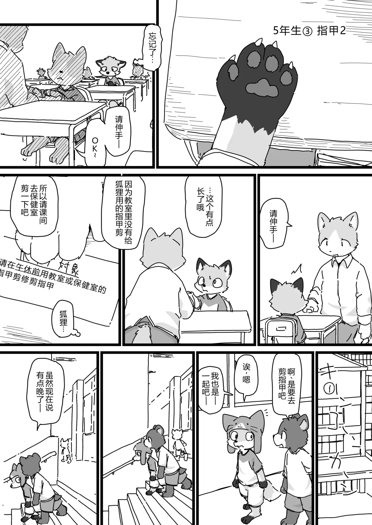 Image #12