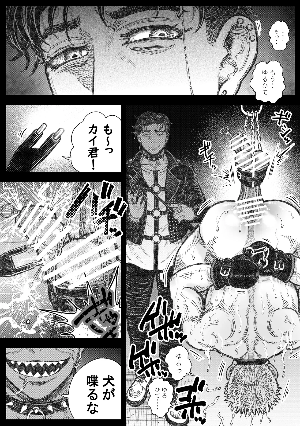 Image #5