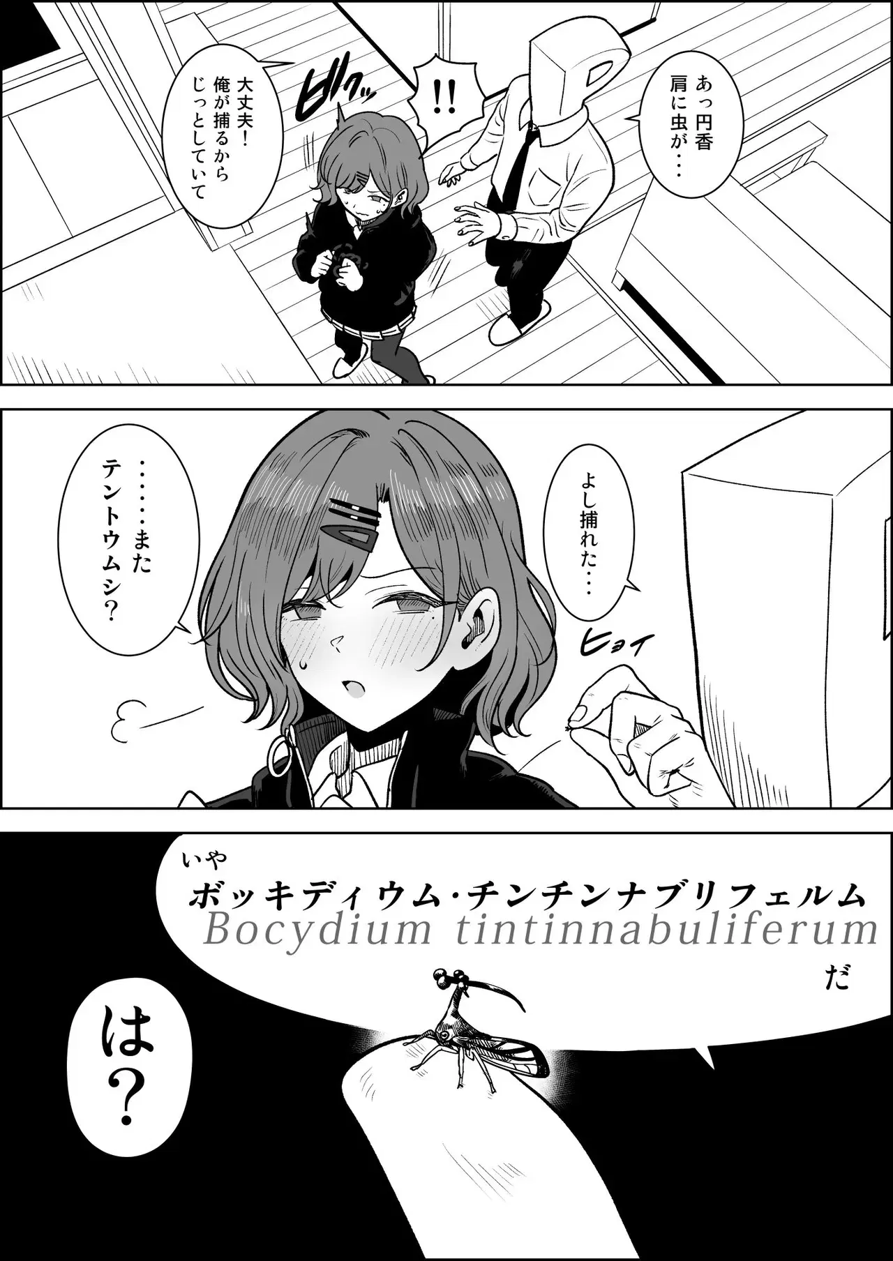 Image #5