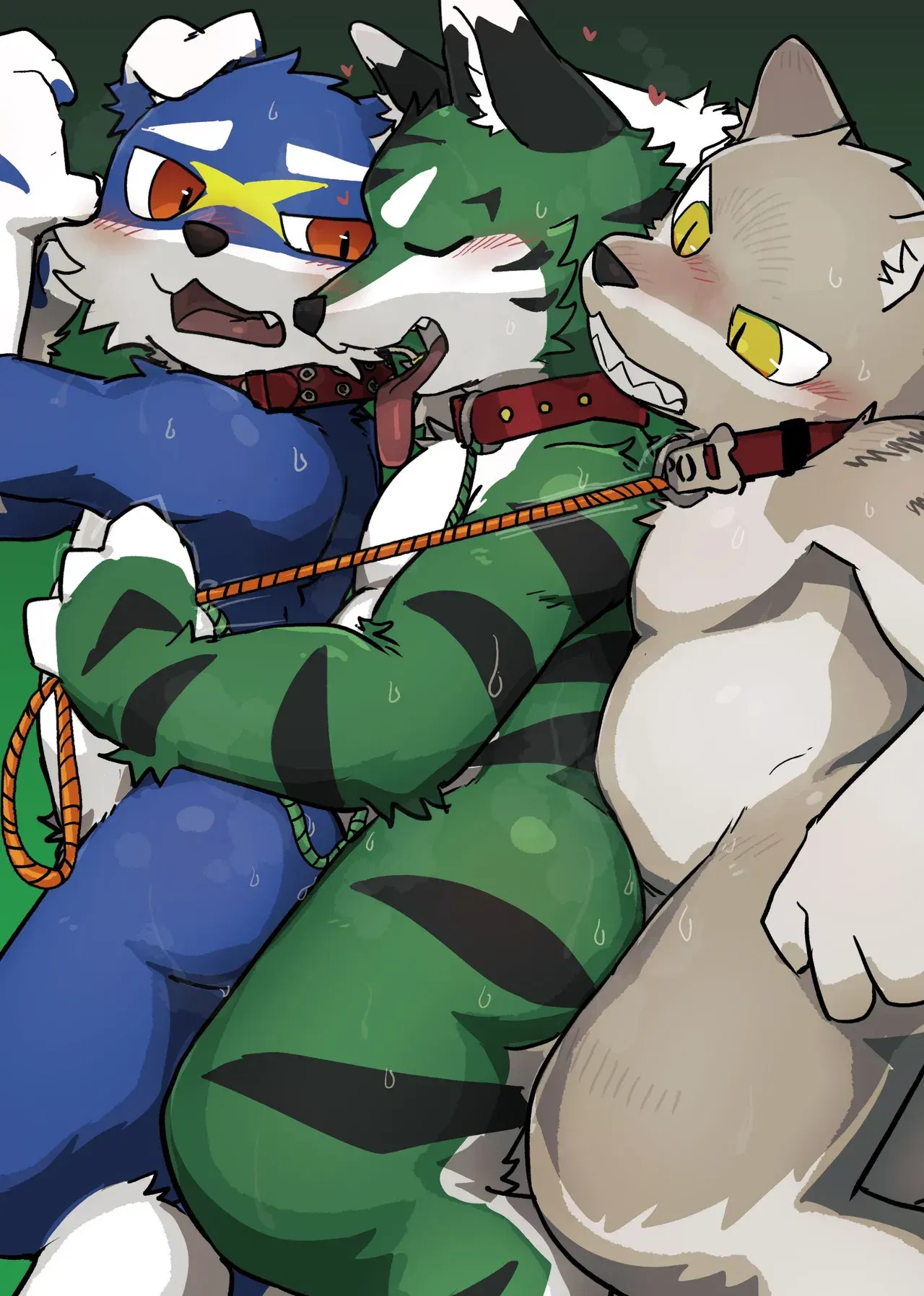 Image #12