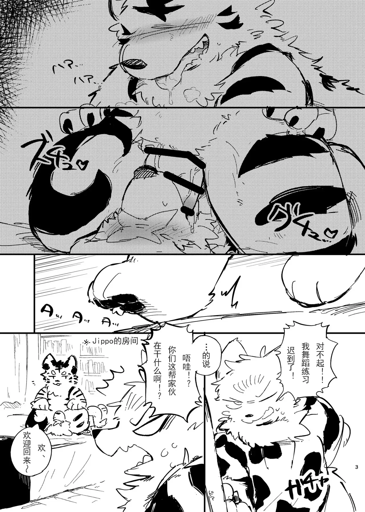 Image #14