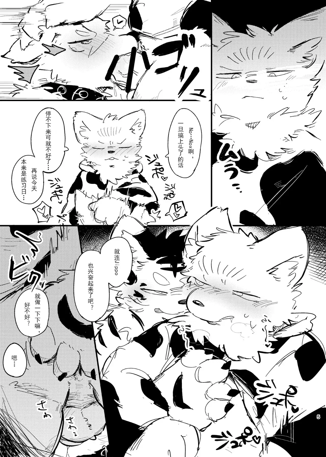 Image #16