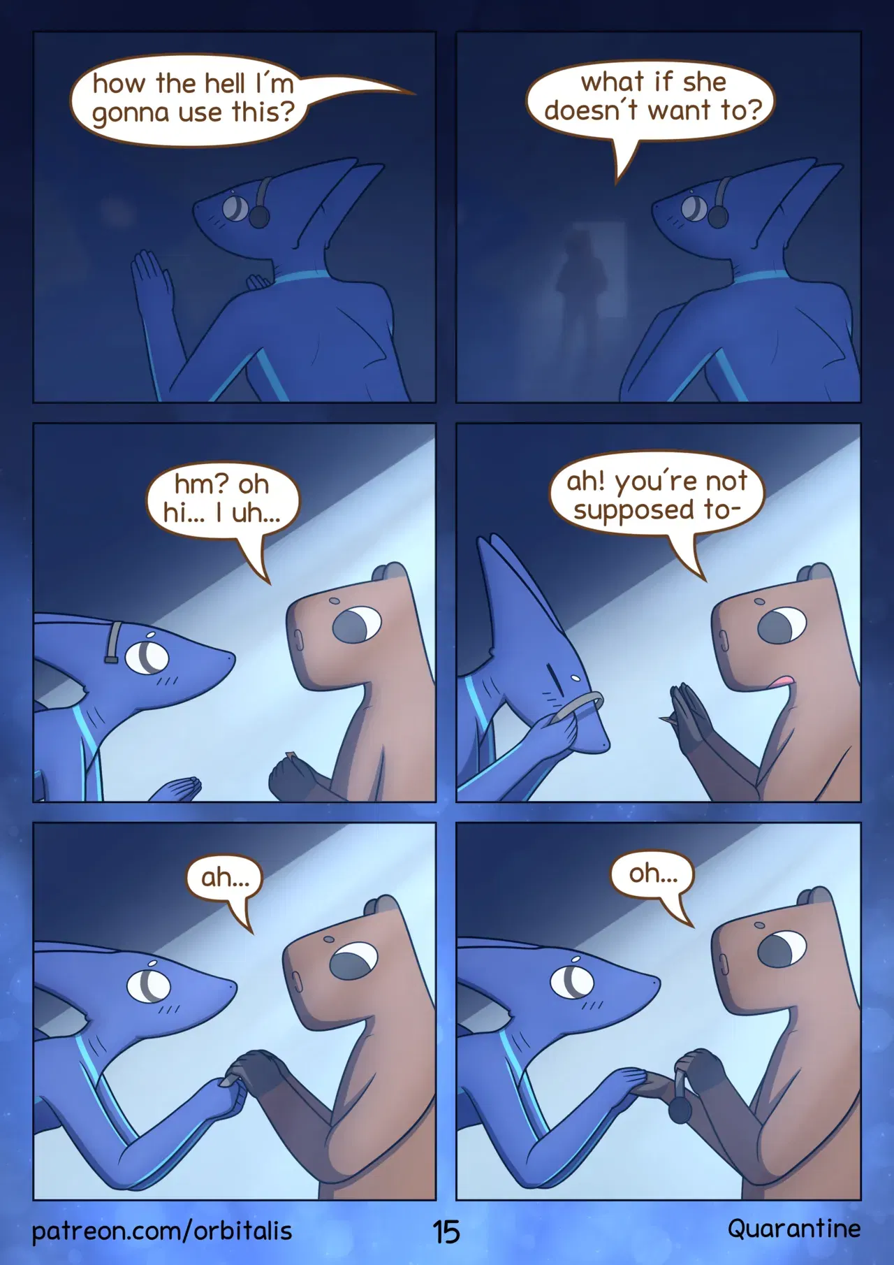 Image #16
