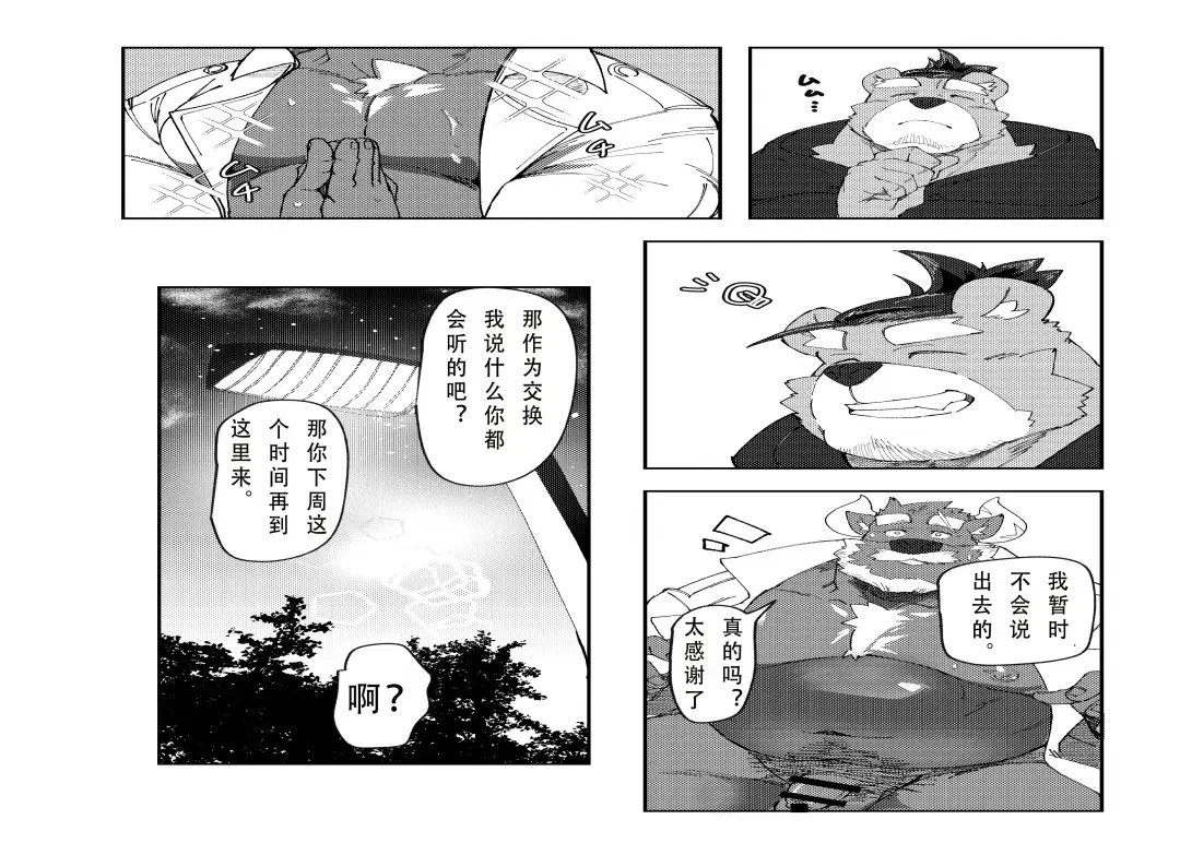 Image #12